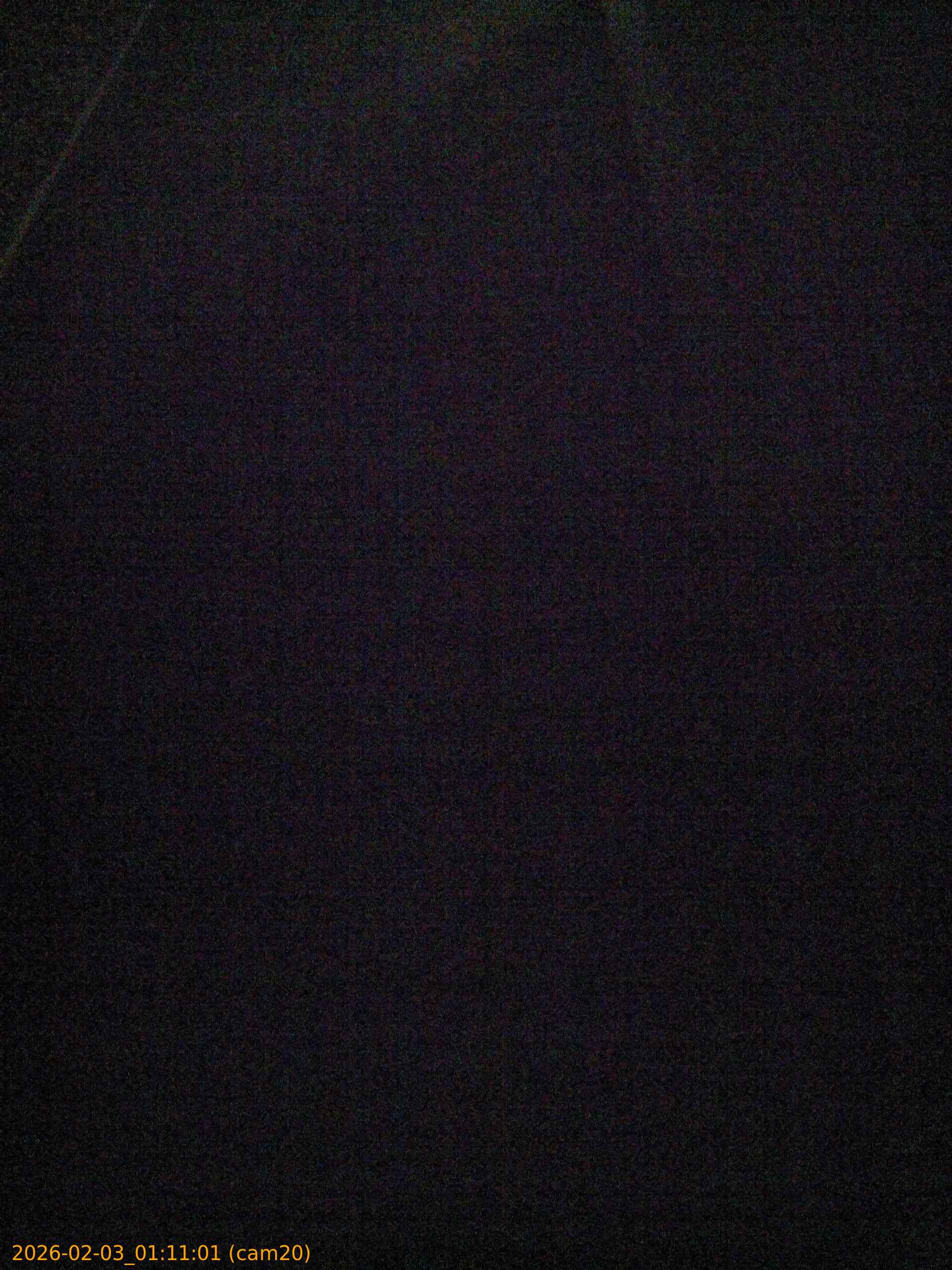 thumbnail_20260203011101