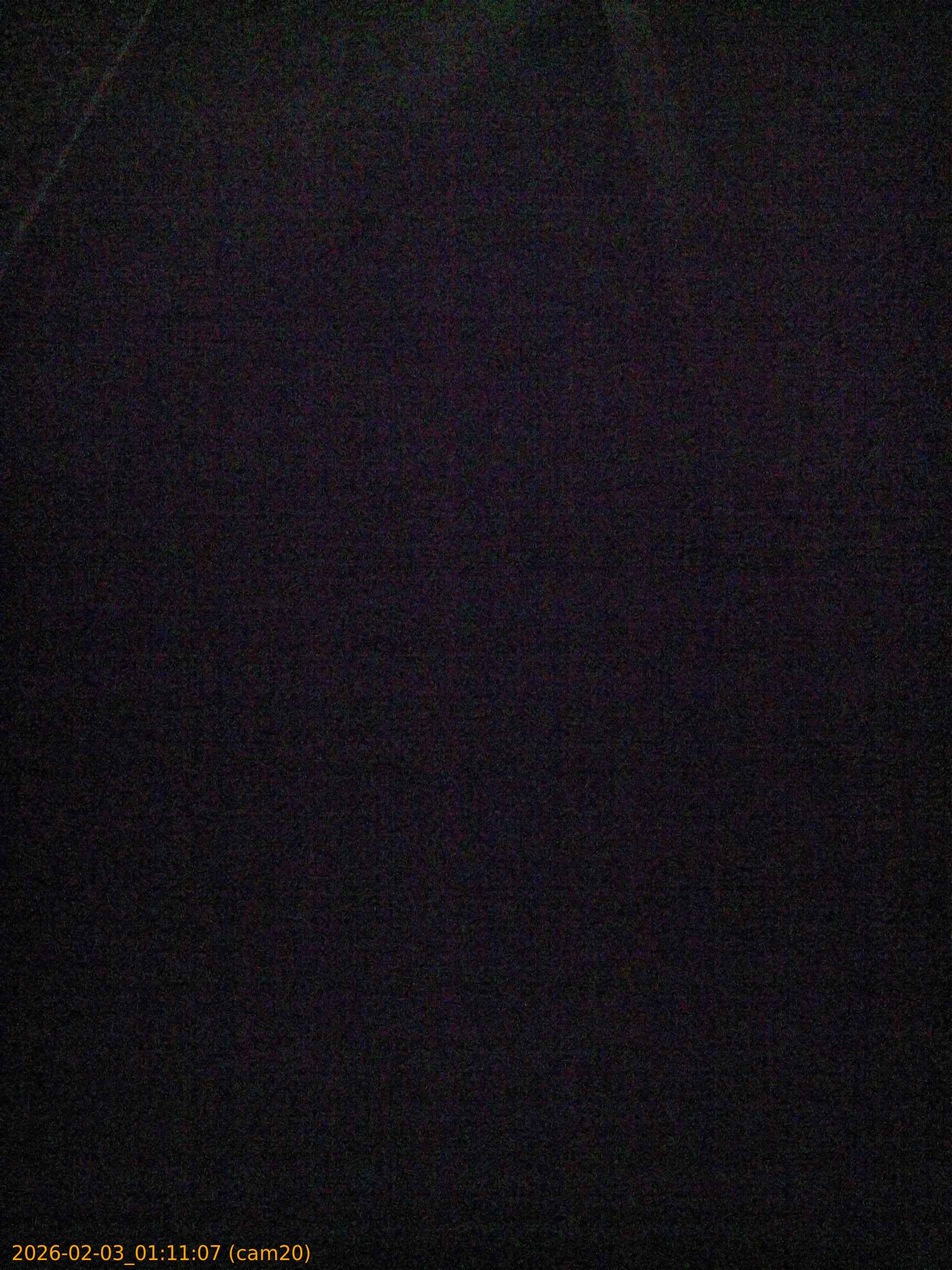 thumbnail_20260203011107