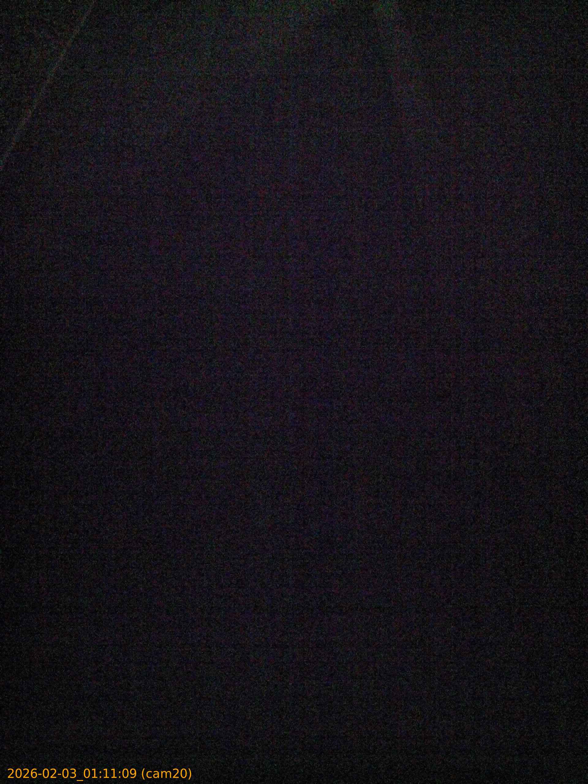 thumbnail_20260203011109