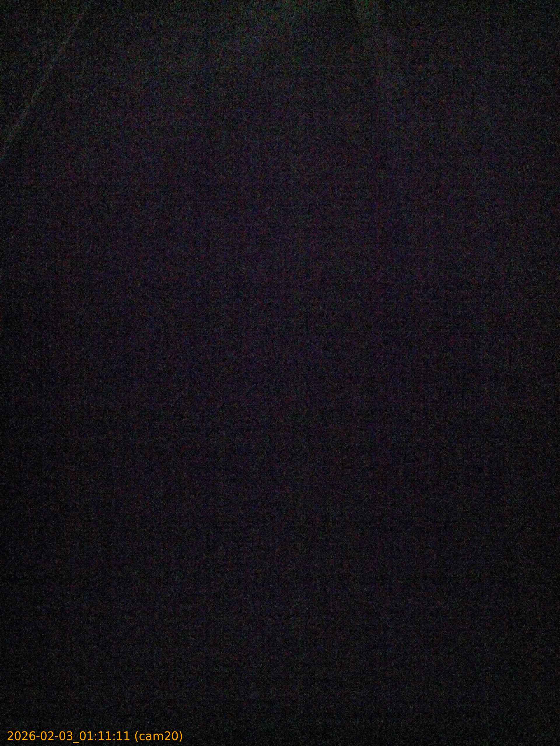 thumbnail_20260203011111