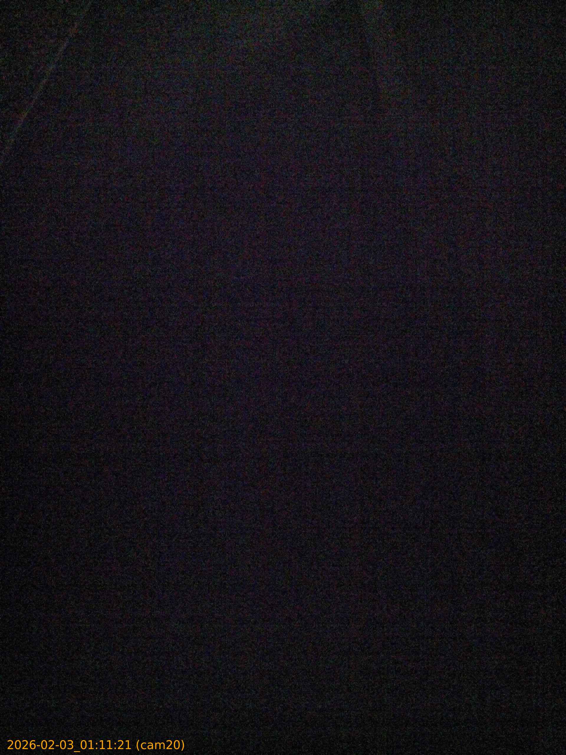 thumbnail_20260203011121