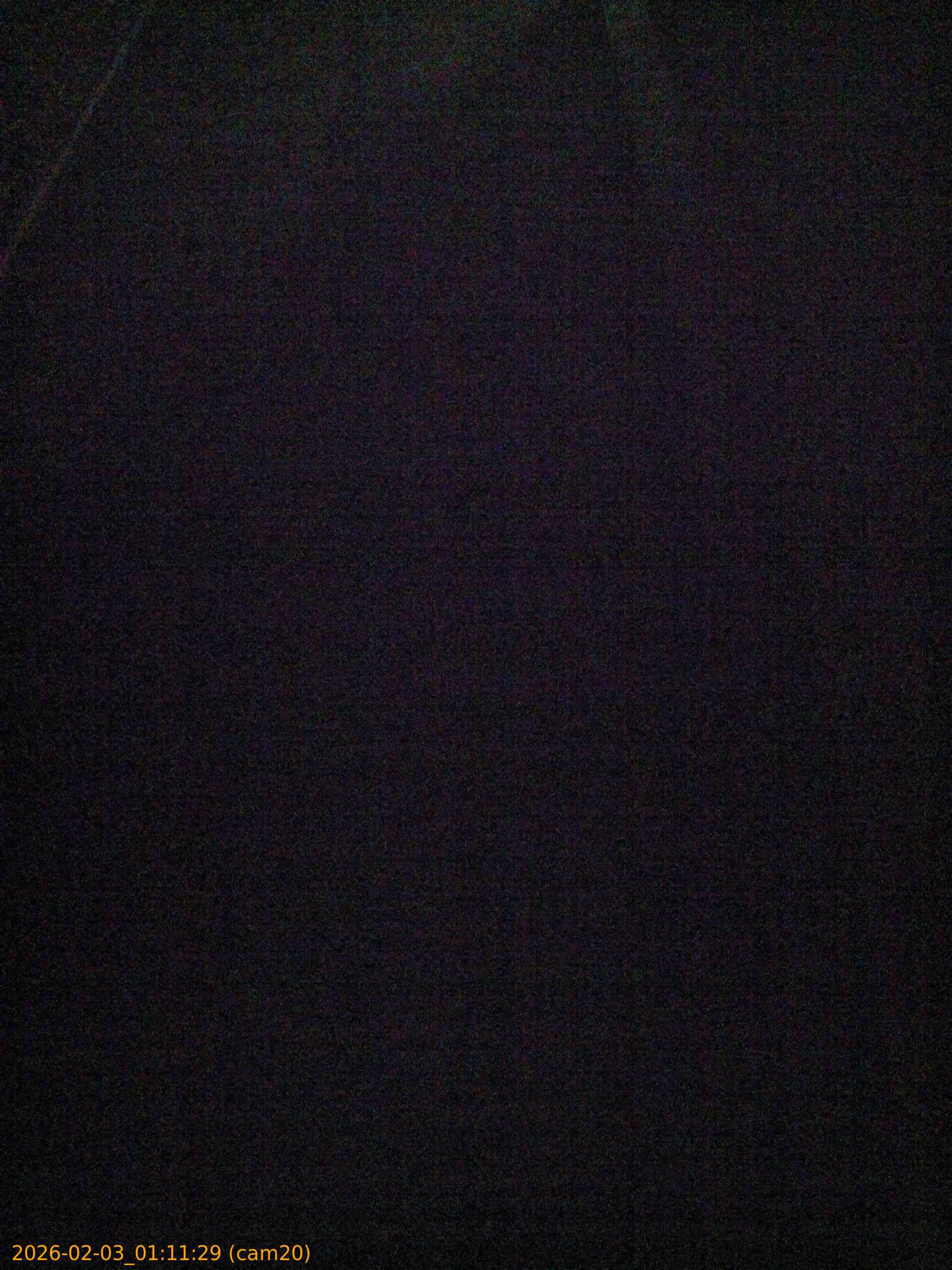 thumbnail_20260203011129