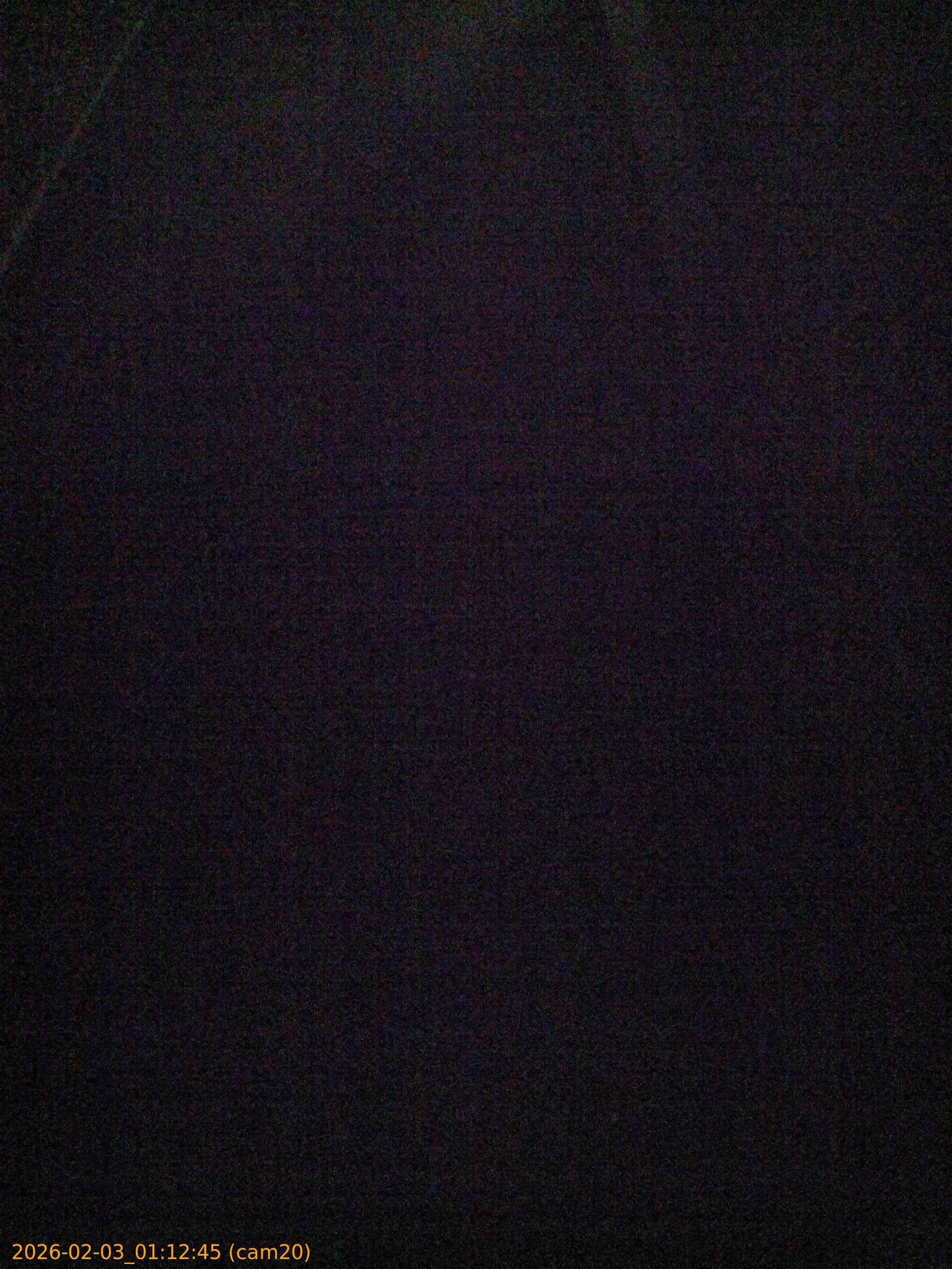 thumbnail_20260203011245