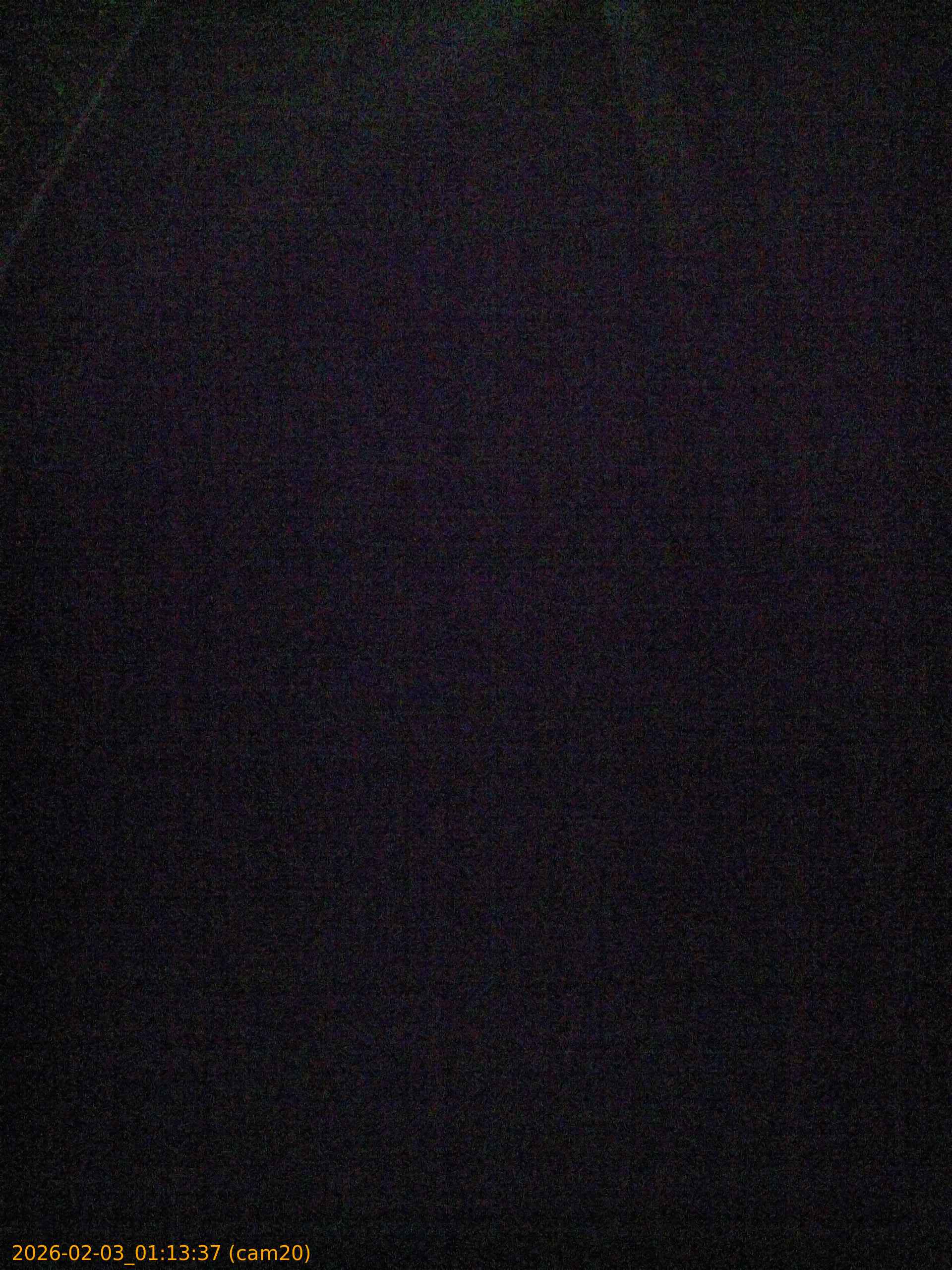 20260203011337