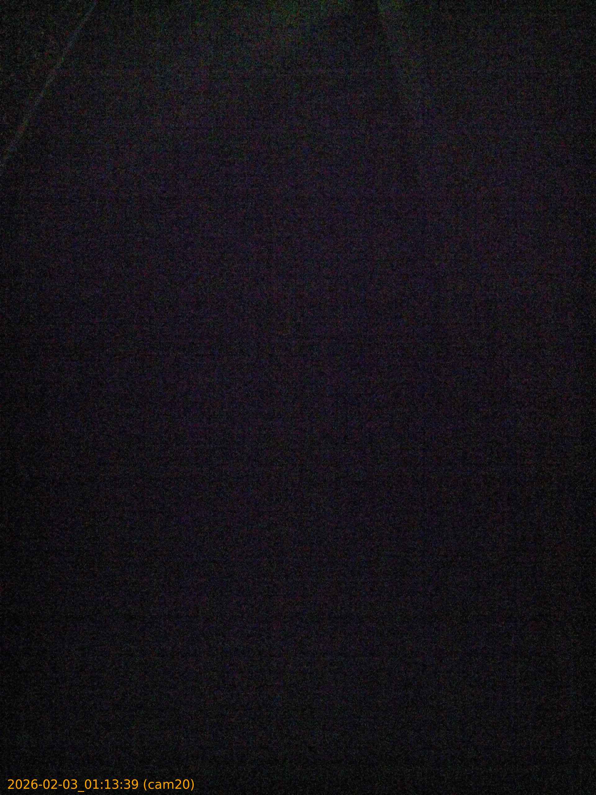 20260203011339
