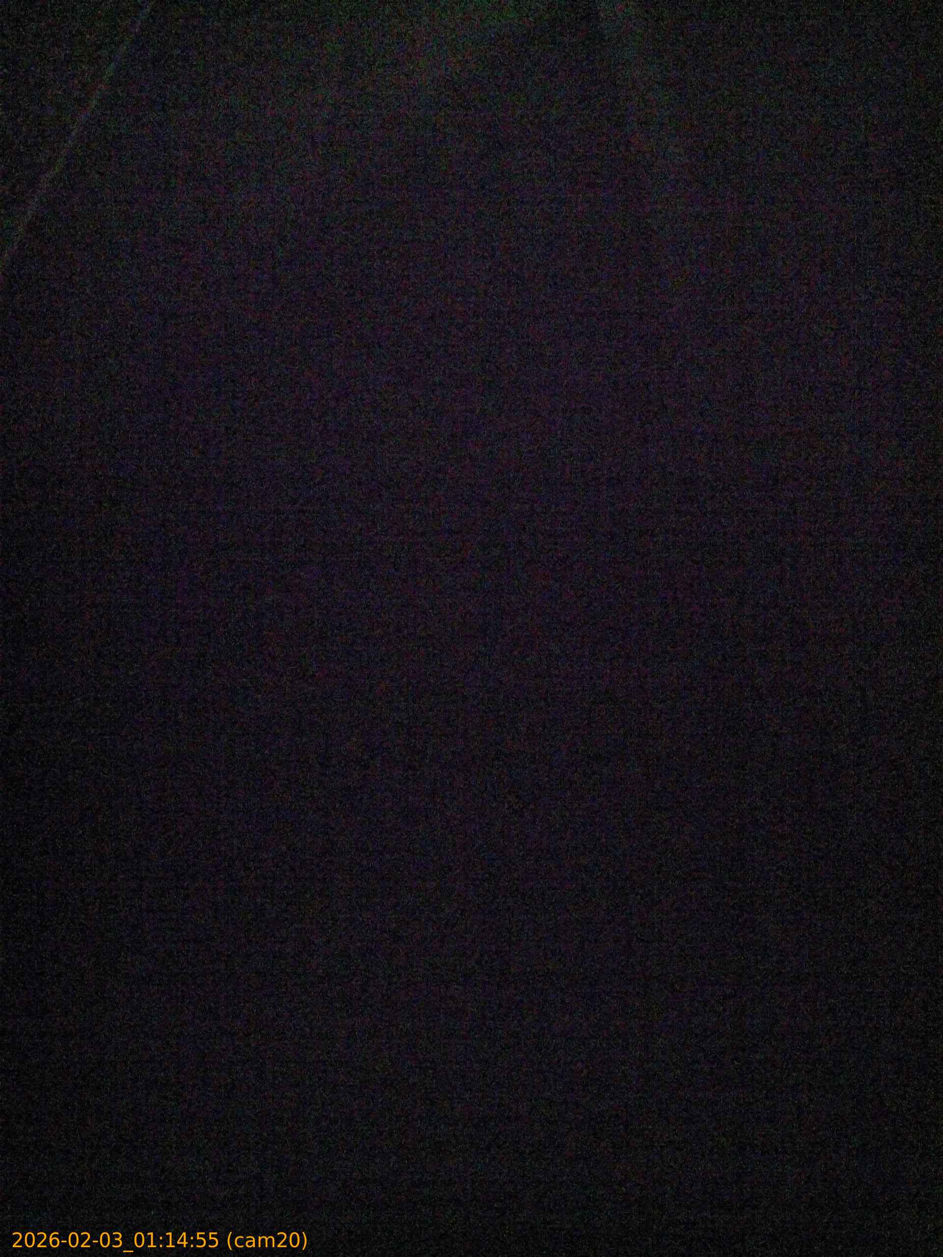 thumbnail_20260203011455