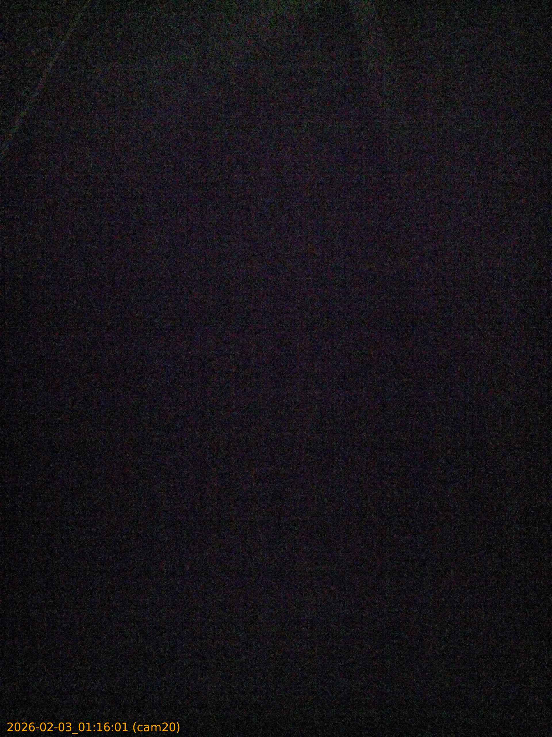 thumbnail_20260203011601