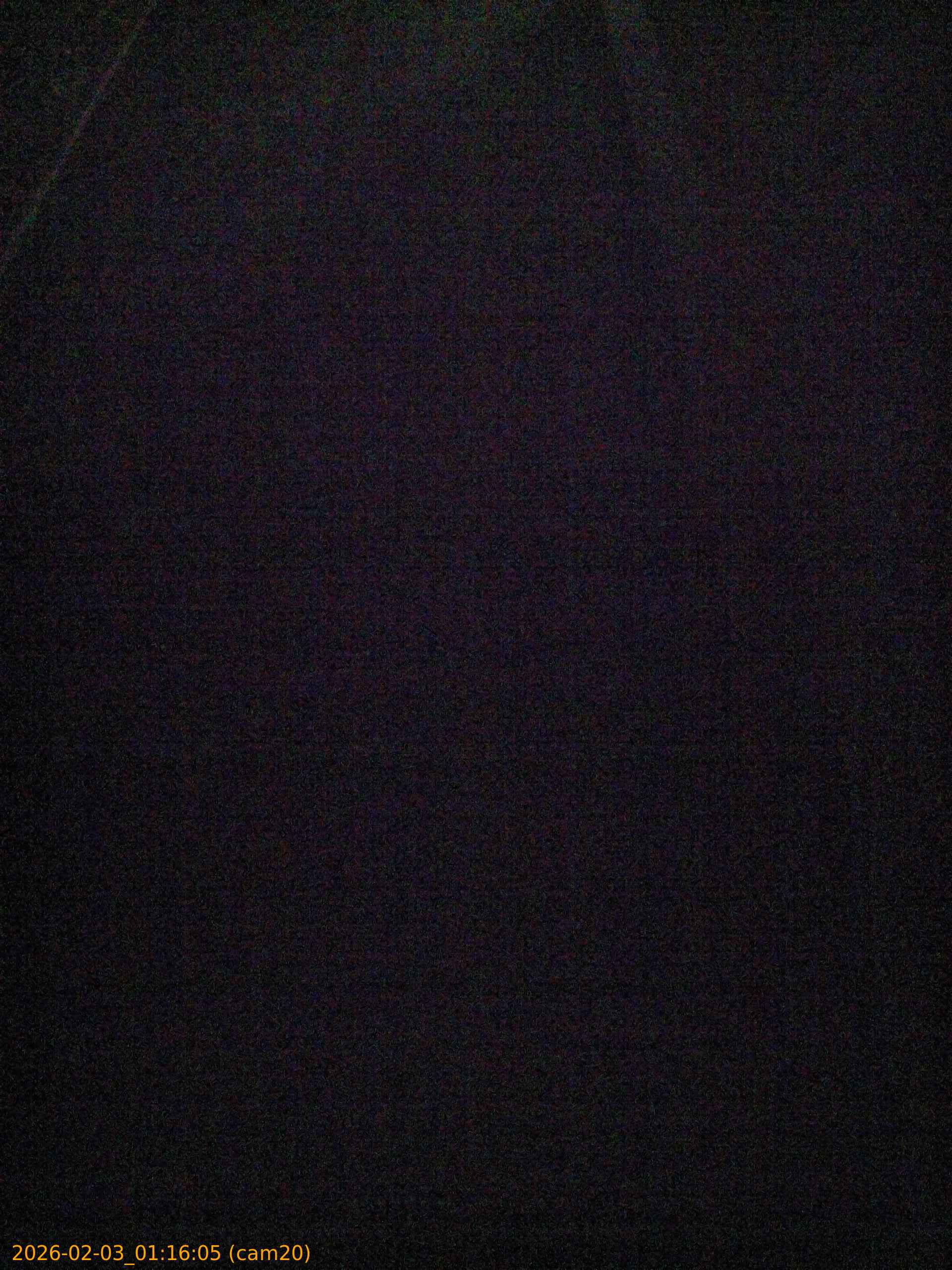 thumbnail_20260203011605