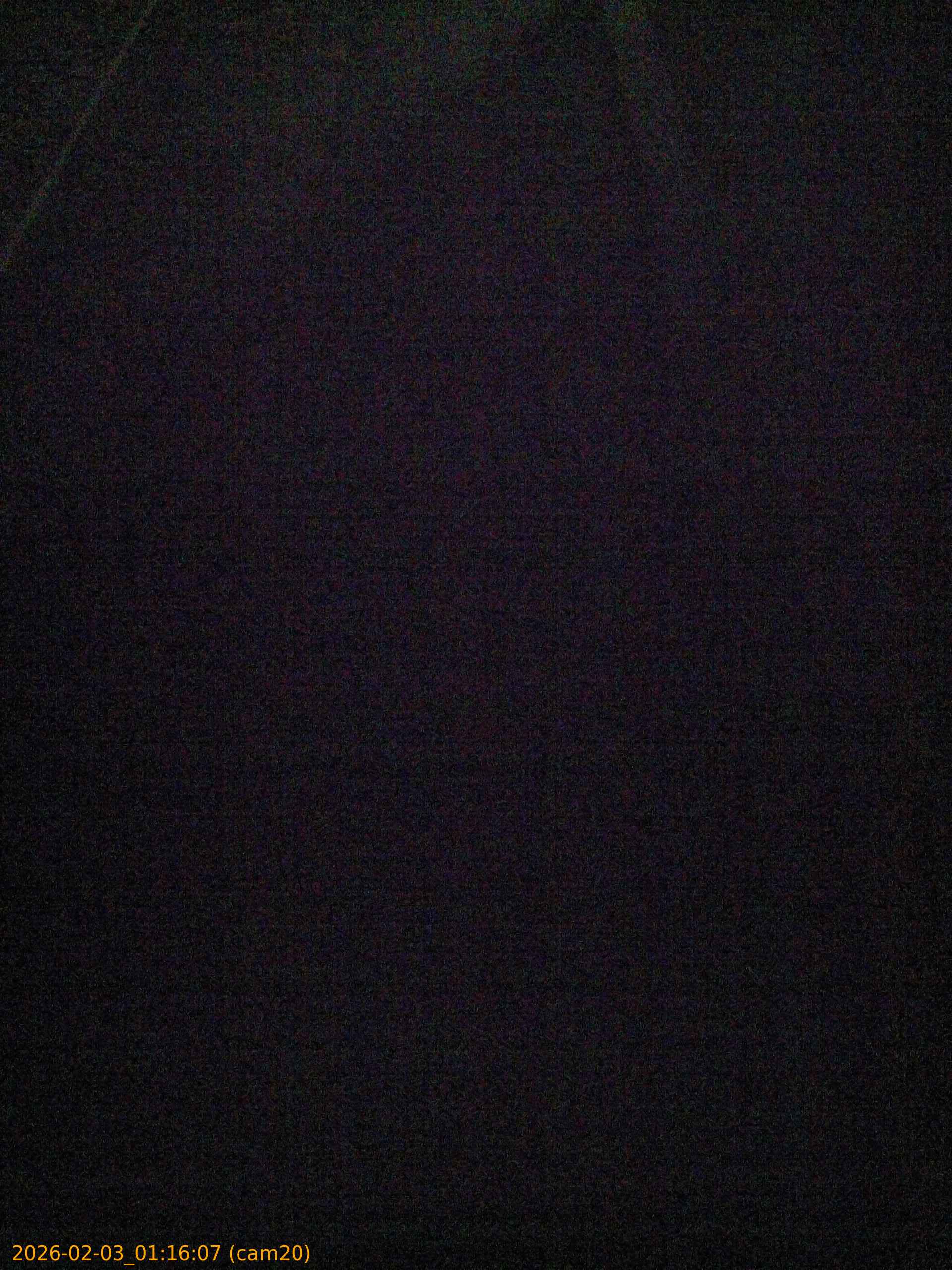 thumbnail_20260203011607