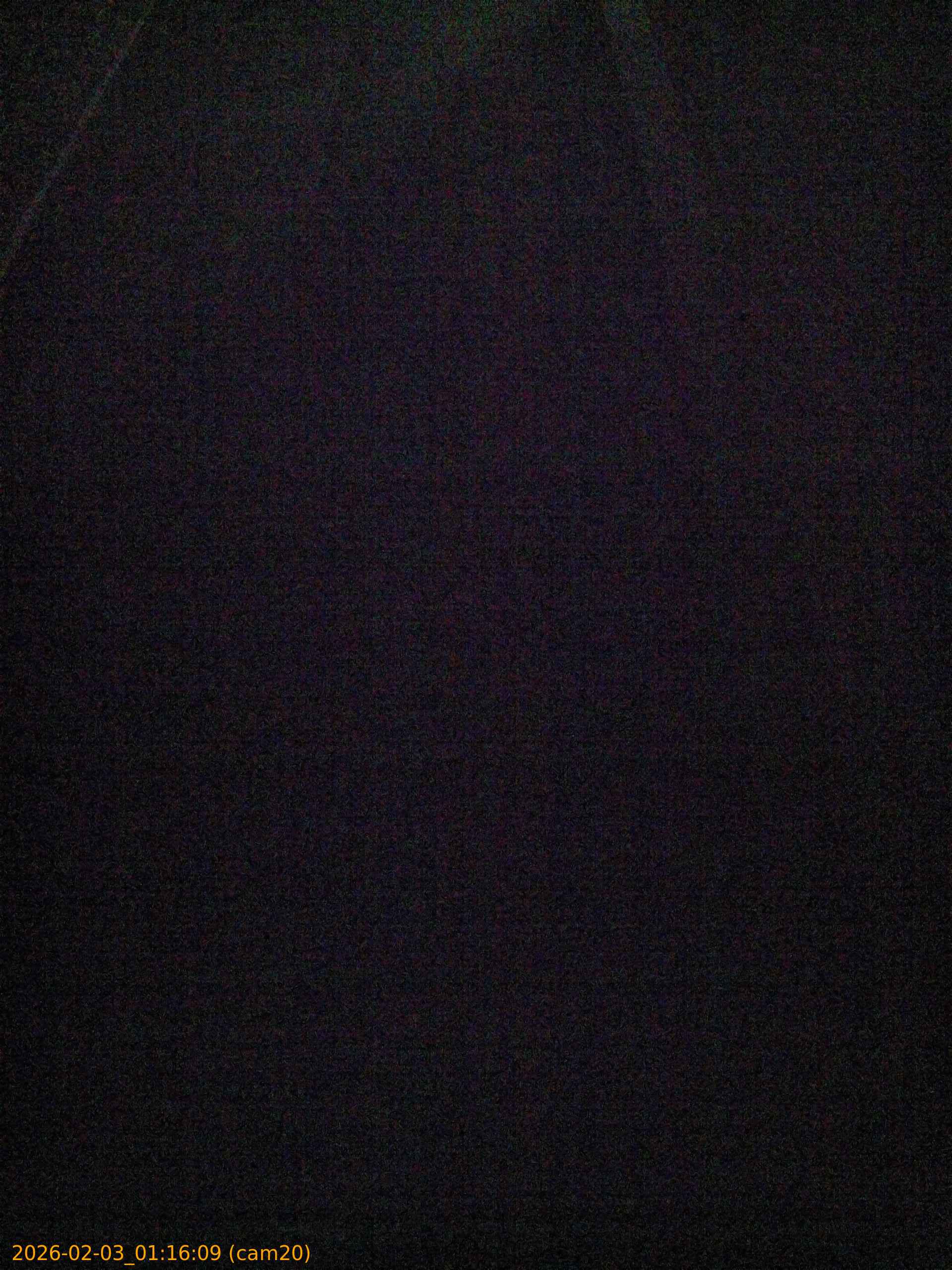 thumbnail_20260203011609