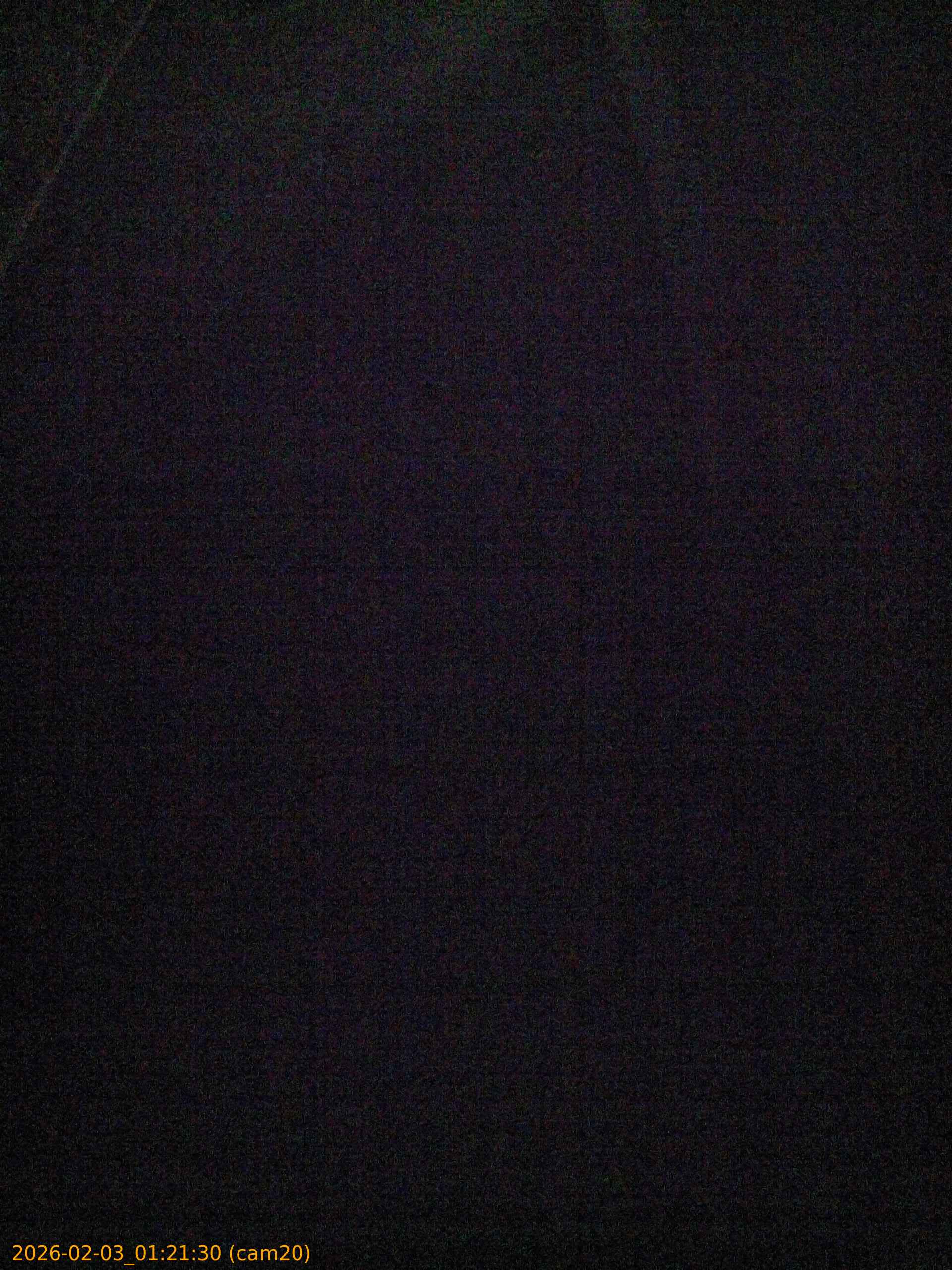 thumbnail_20260203012130