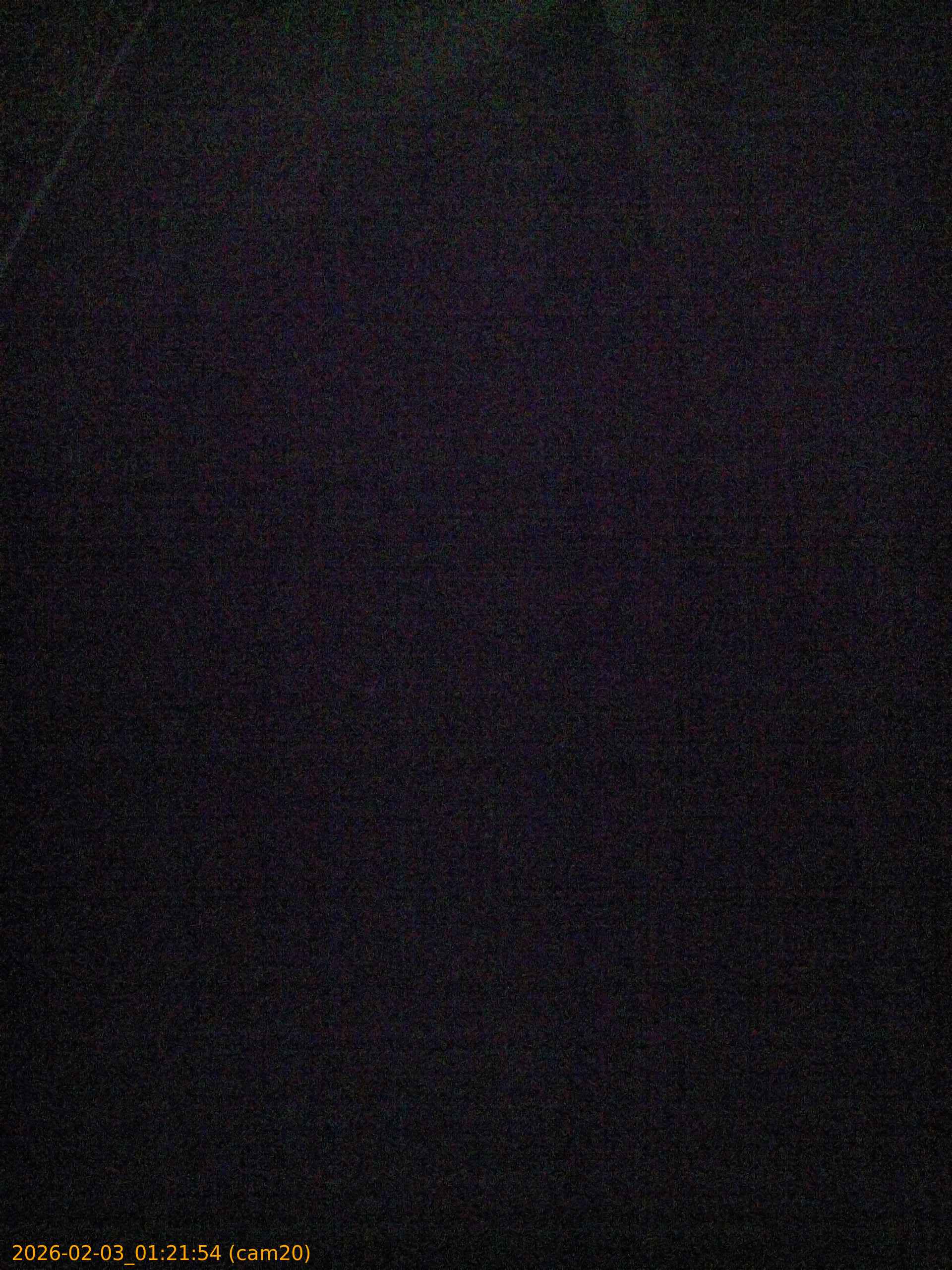 thumbnail_20260203012154