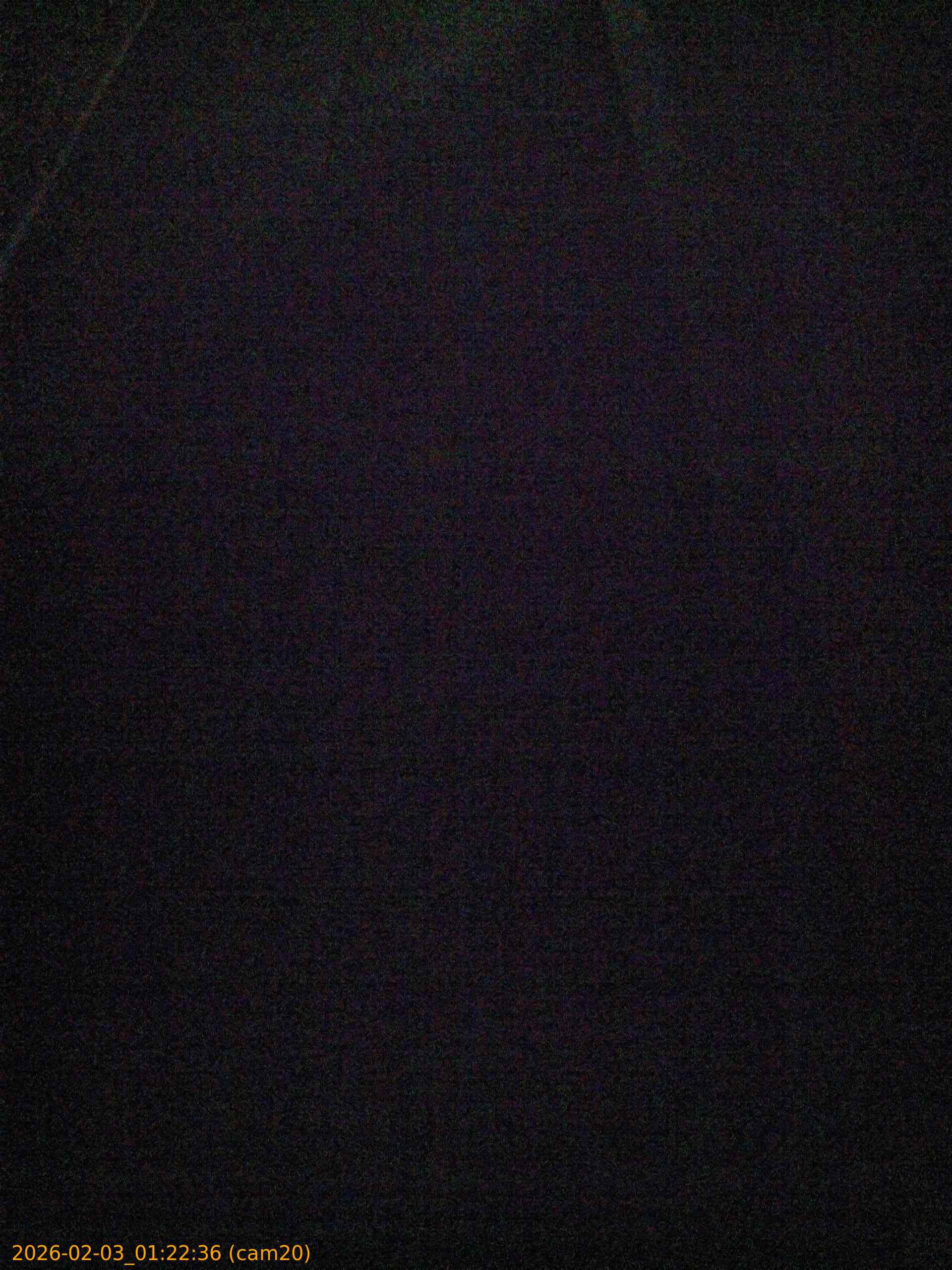 thumbnail_20260203012236