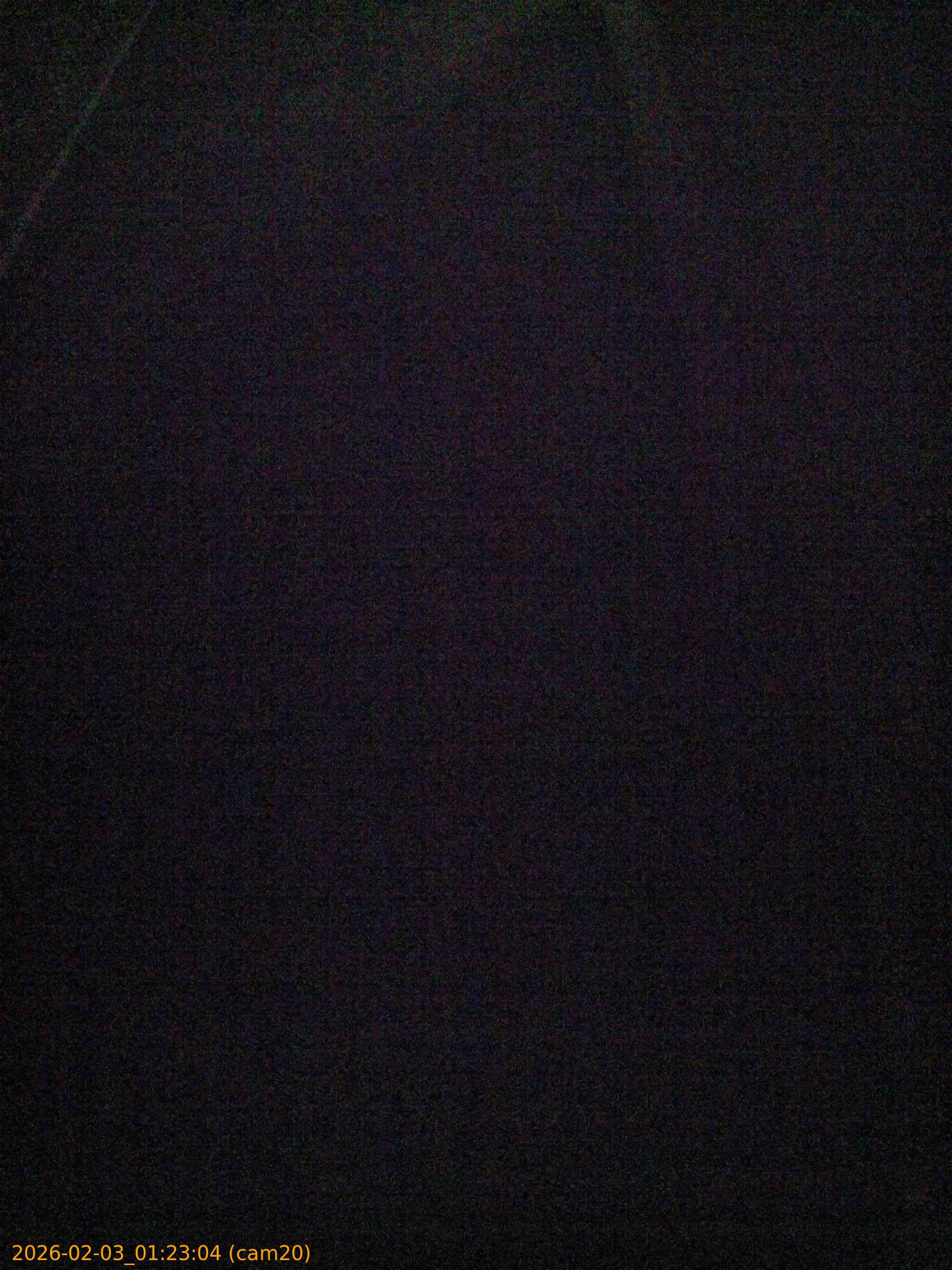 thumbnail_20260203012304