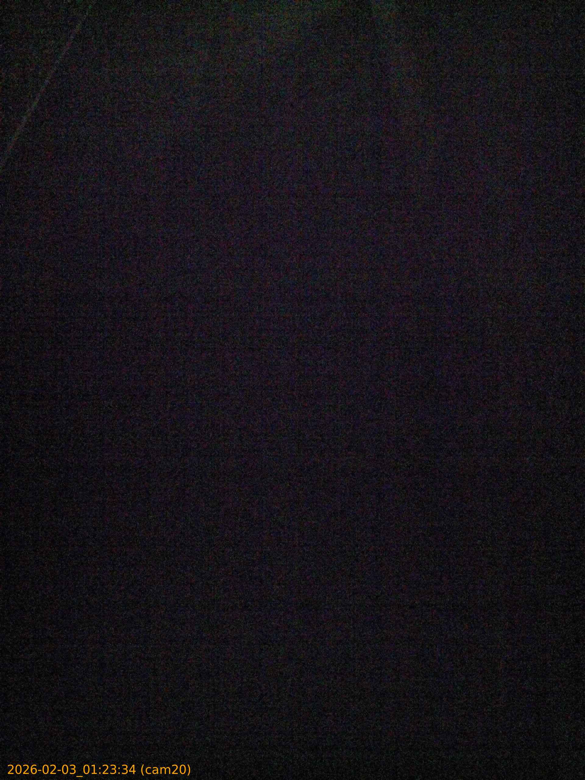 thumbnail_20260203012334