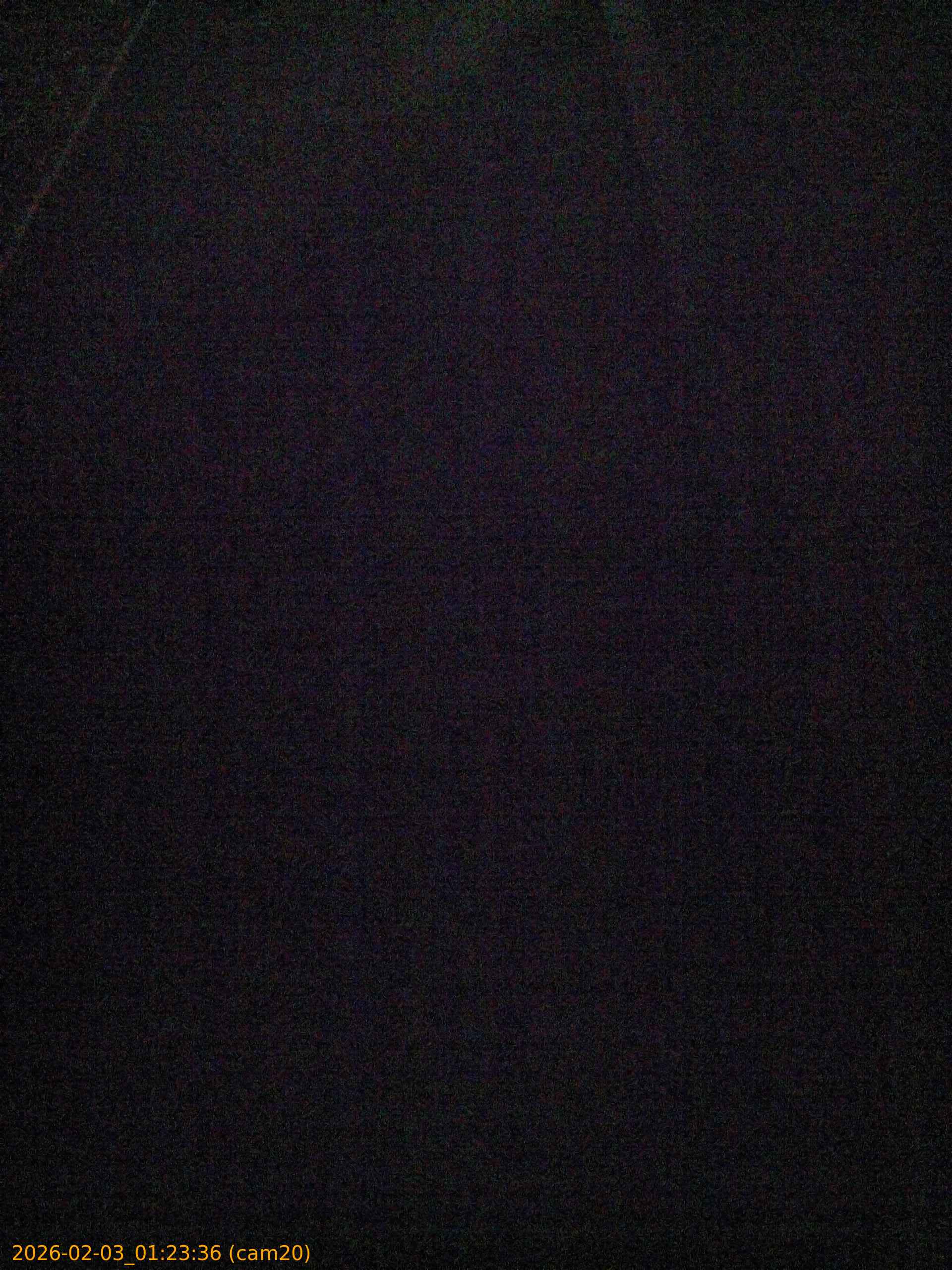 thumbnail_20260203012336