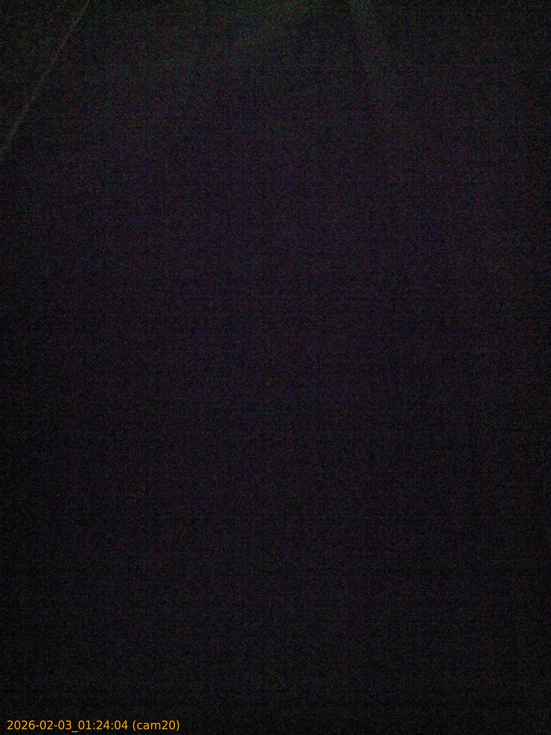 thumbnail_20260203012404