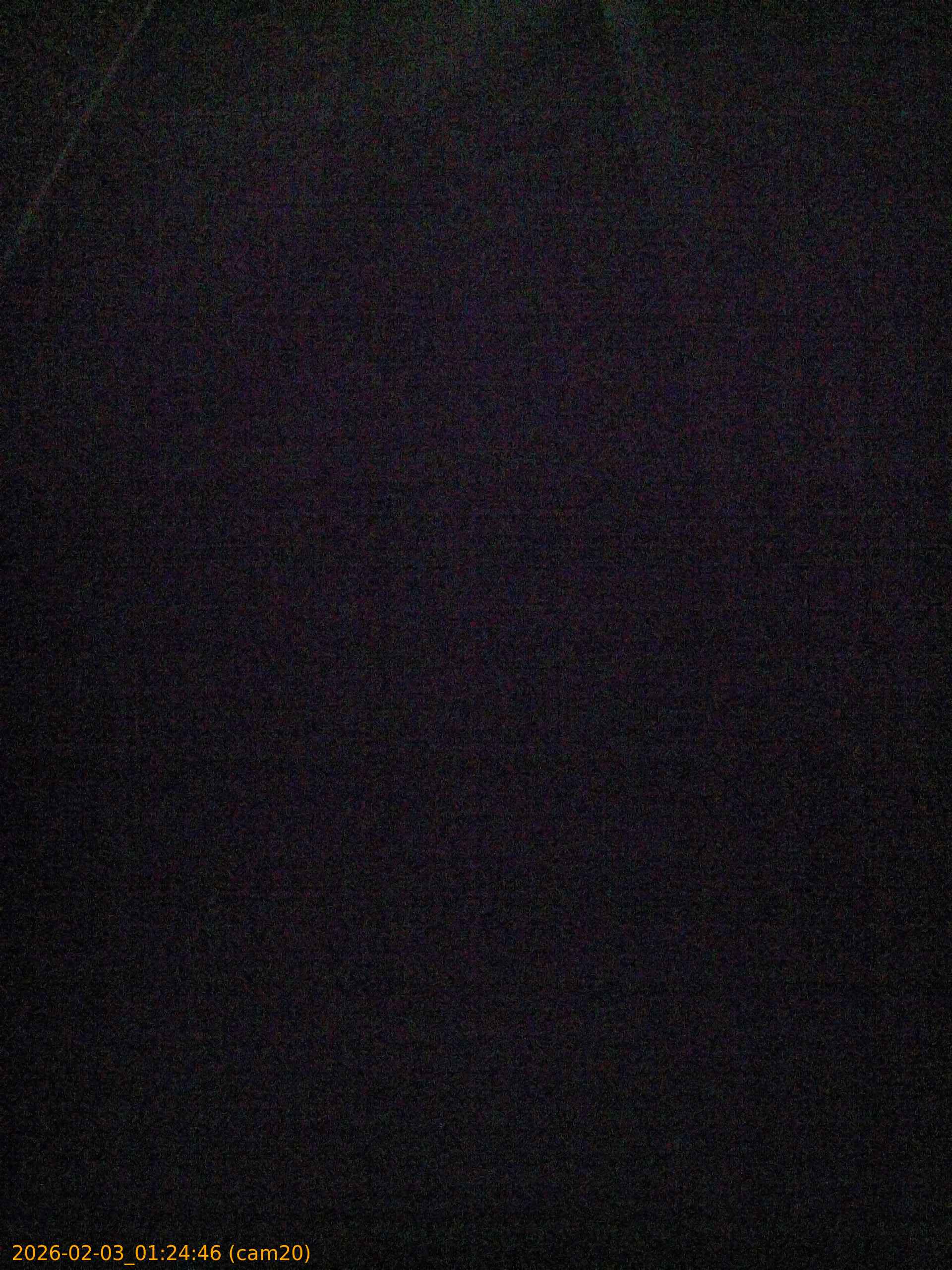 thumbnail_20260203012446