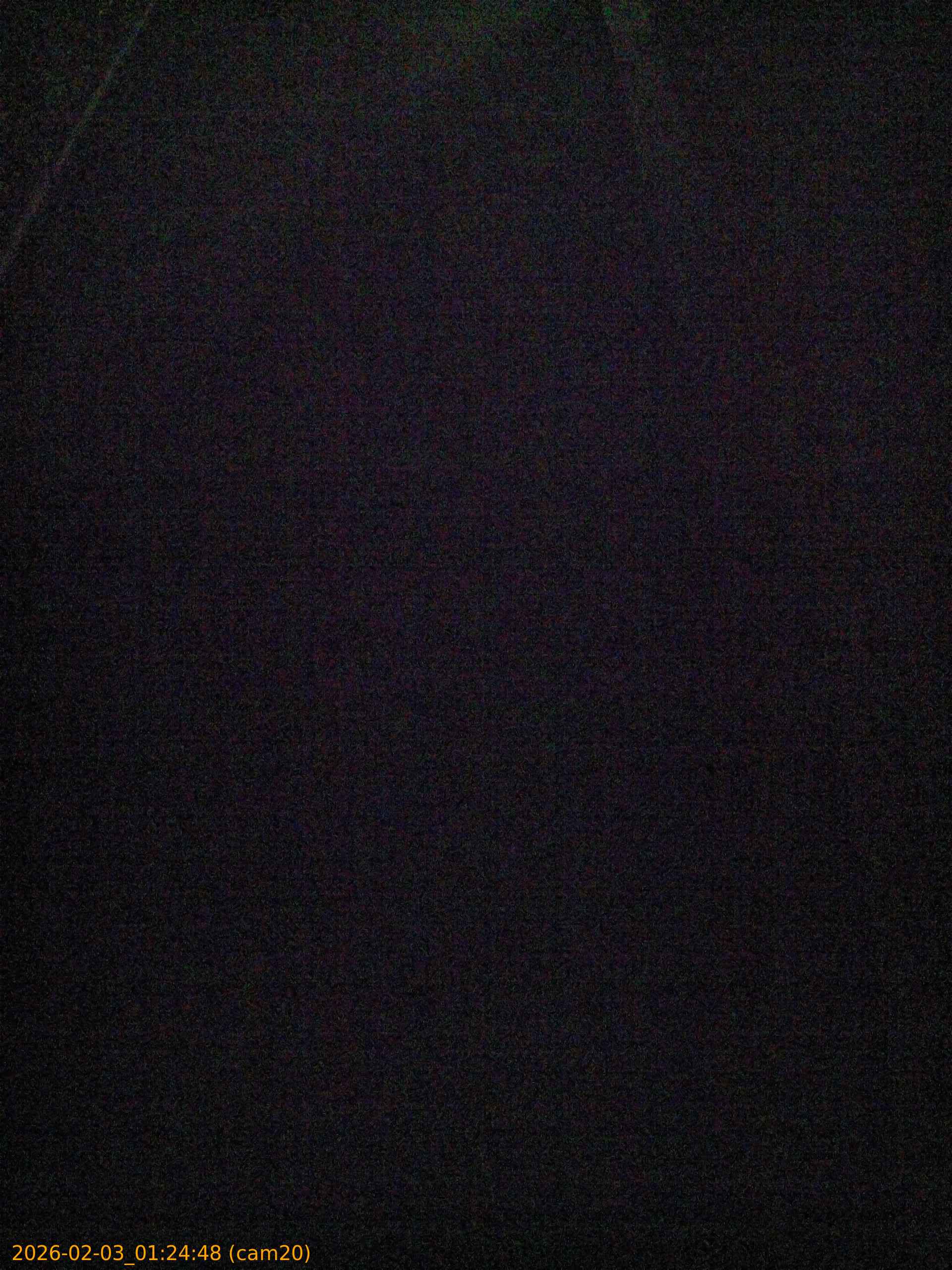 thumbnail_20260203012448