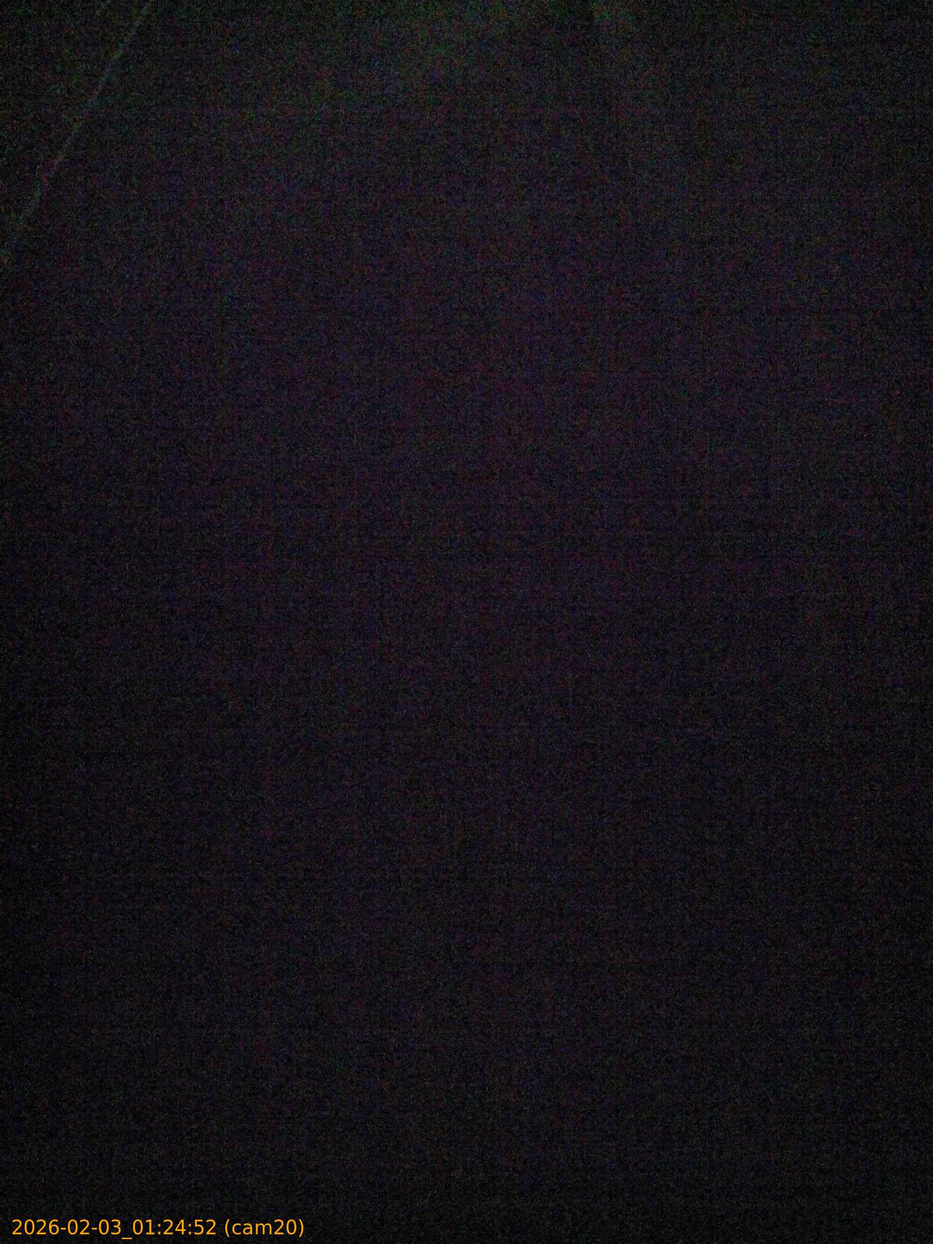 thumbnail_20260203012452