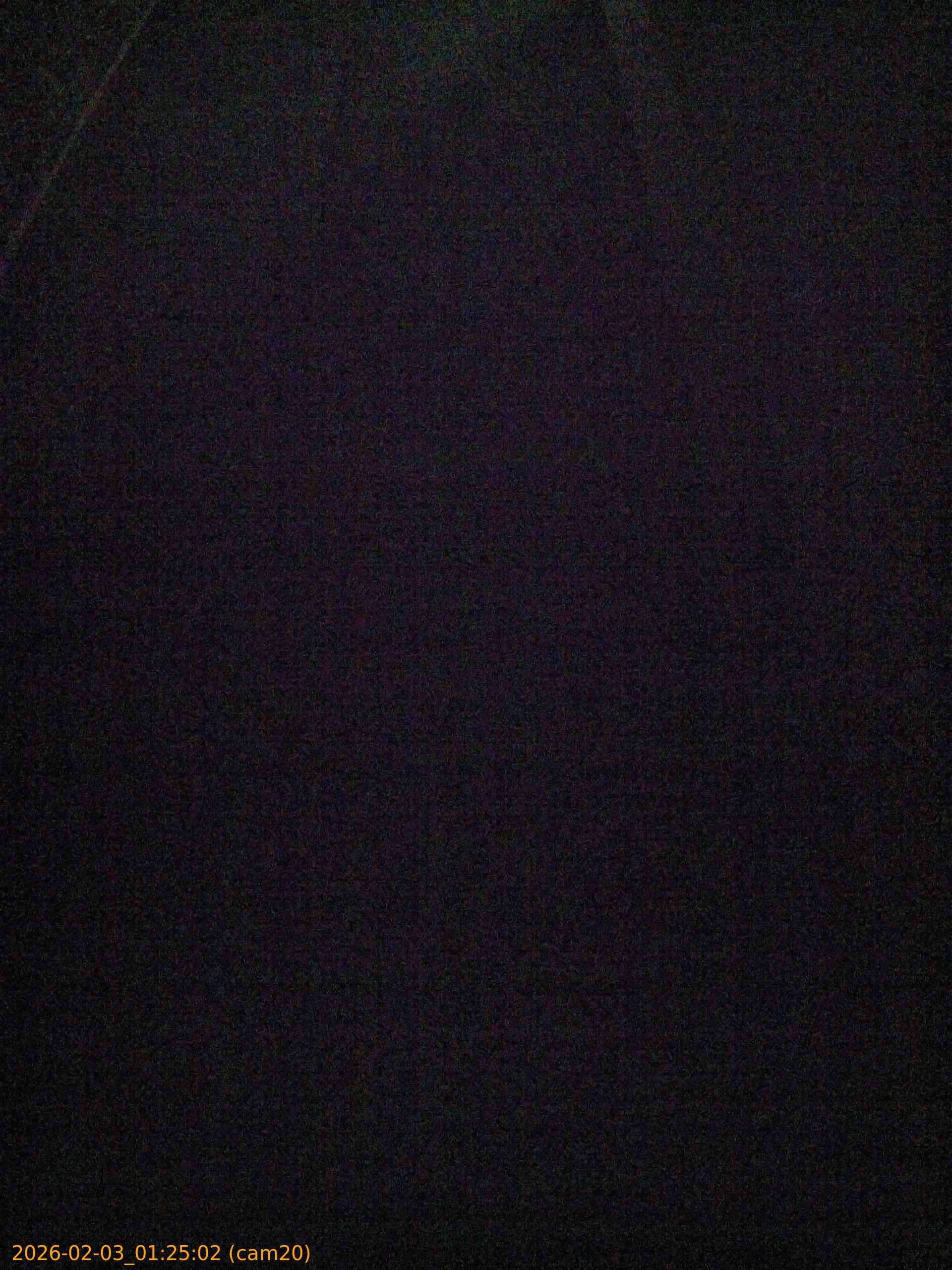 thumbnail_20260203012502