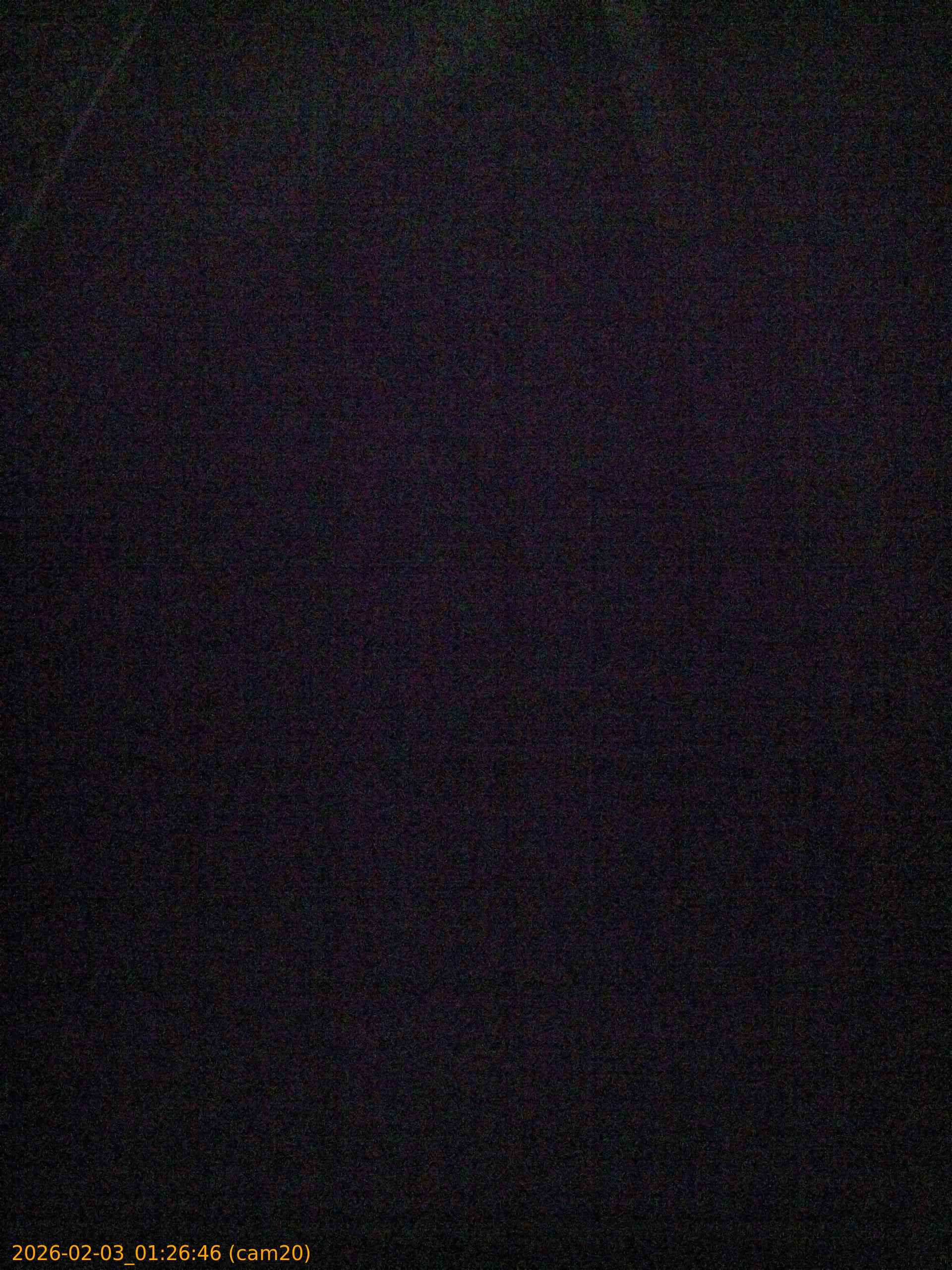 thumbnail_20260203012646