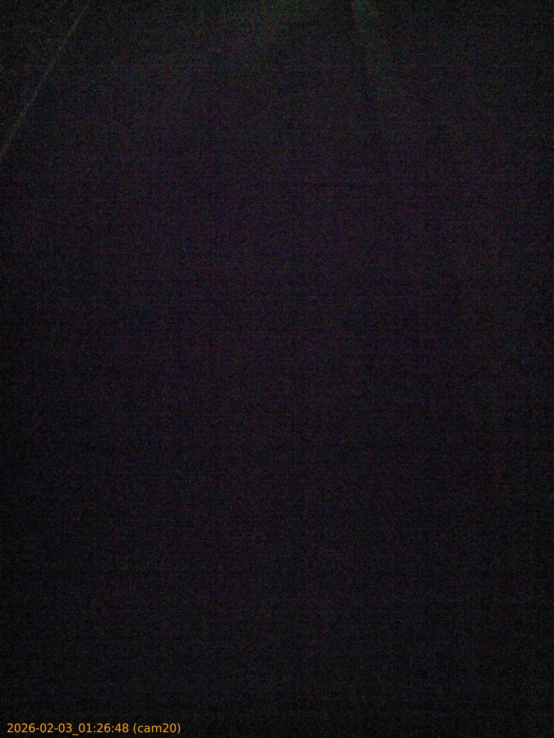 thumbnail_20260203012648