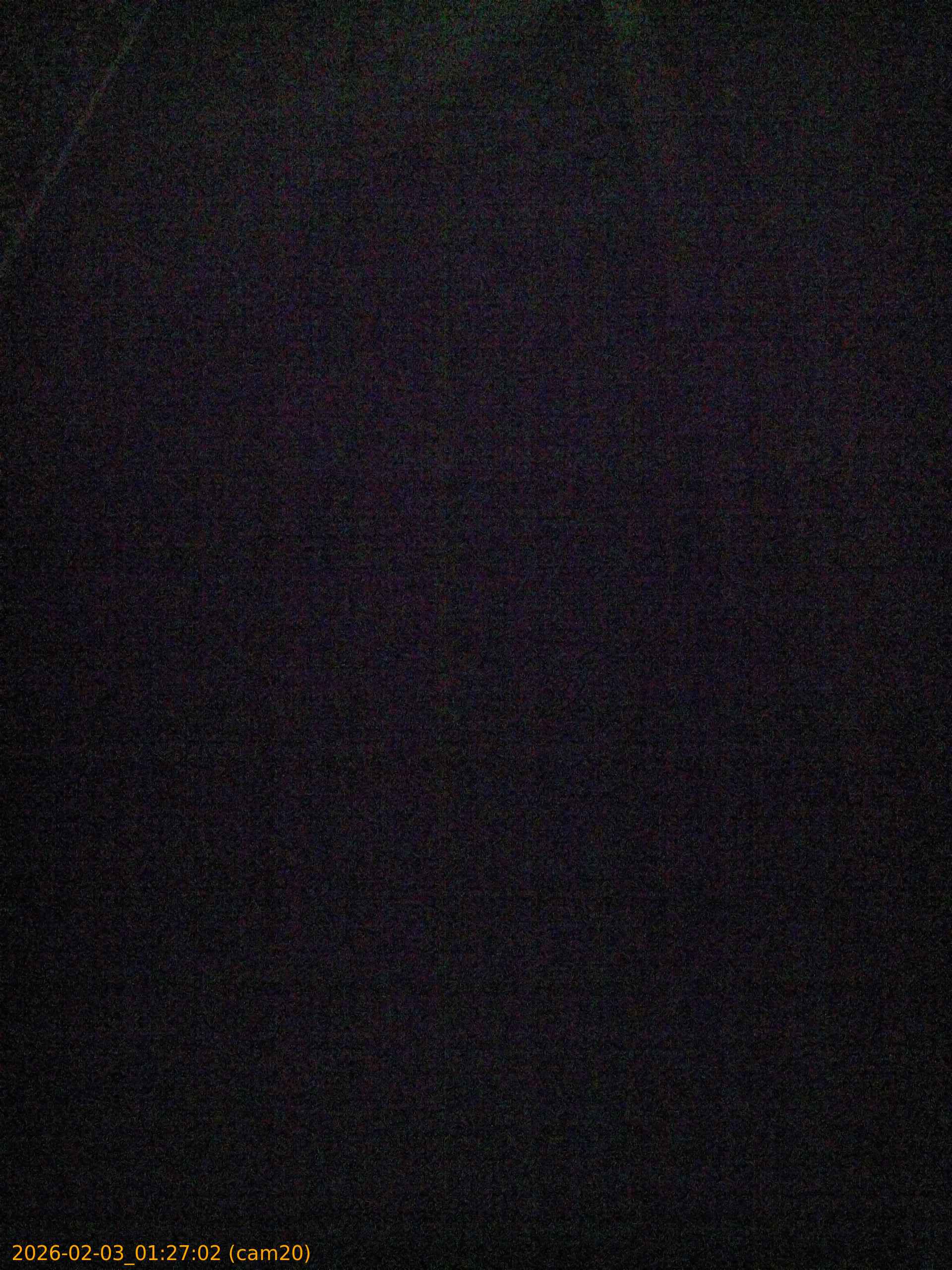 thumbnail_20260203012702