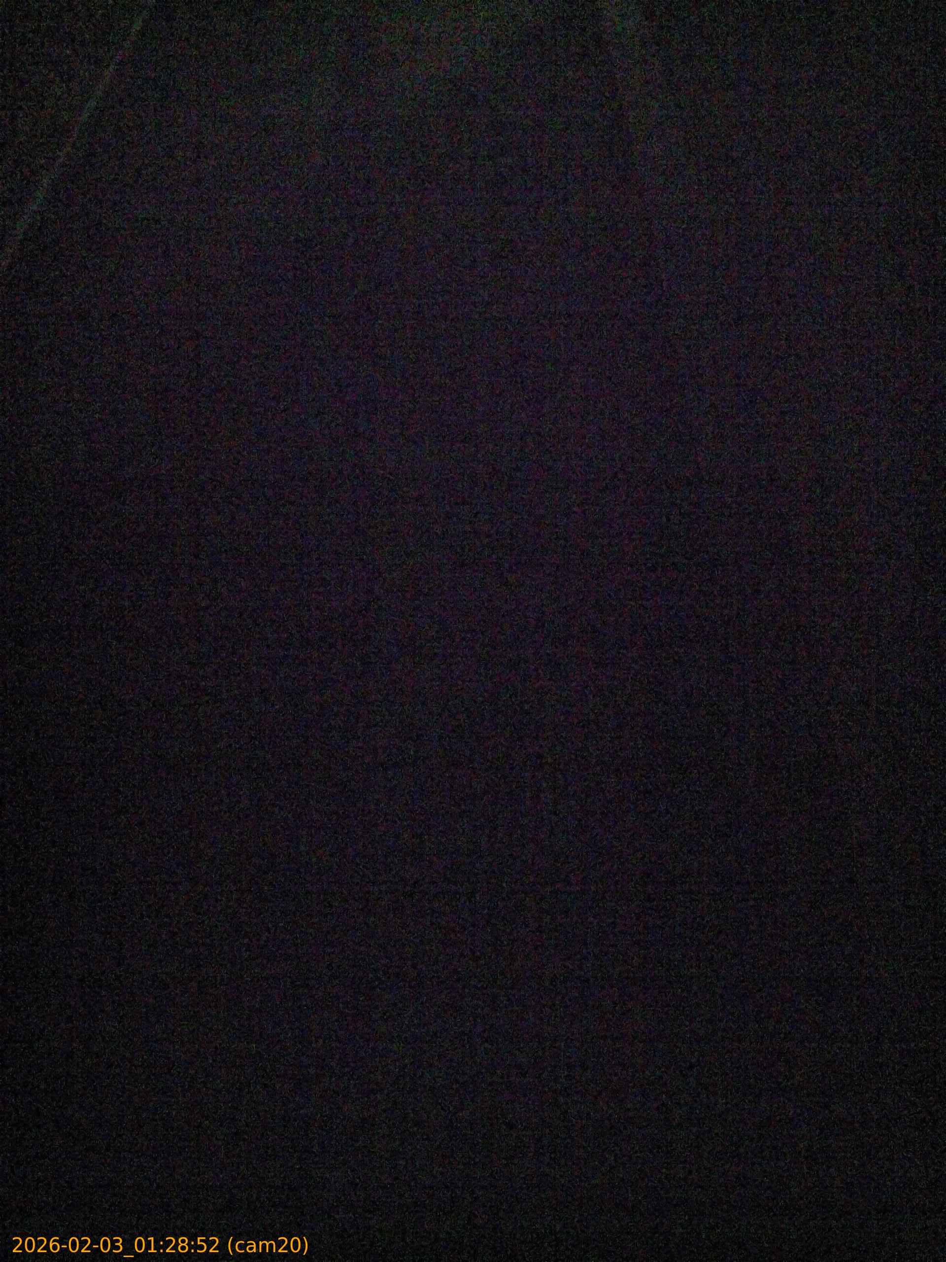 thumbnail_20260203012852