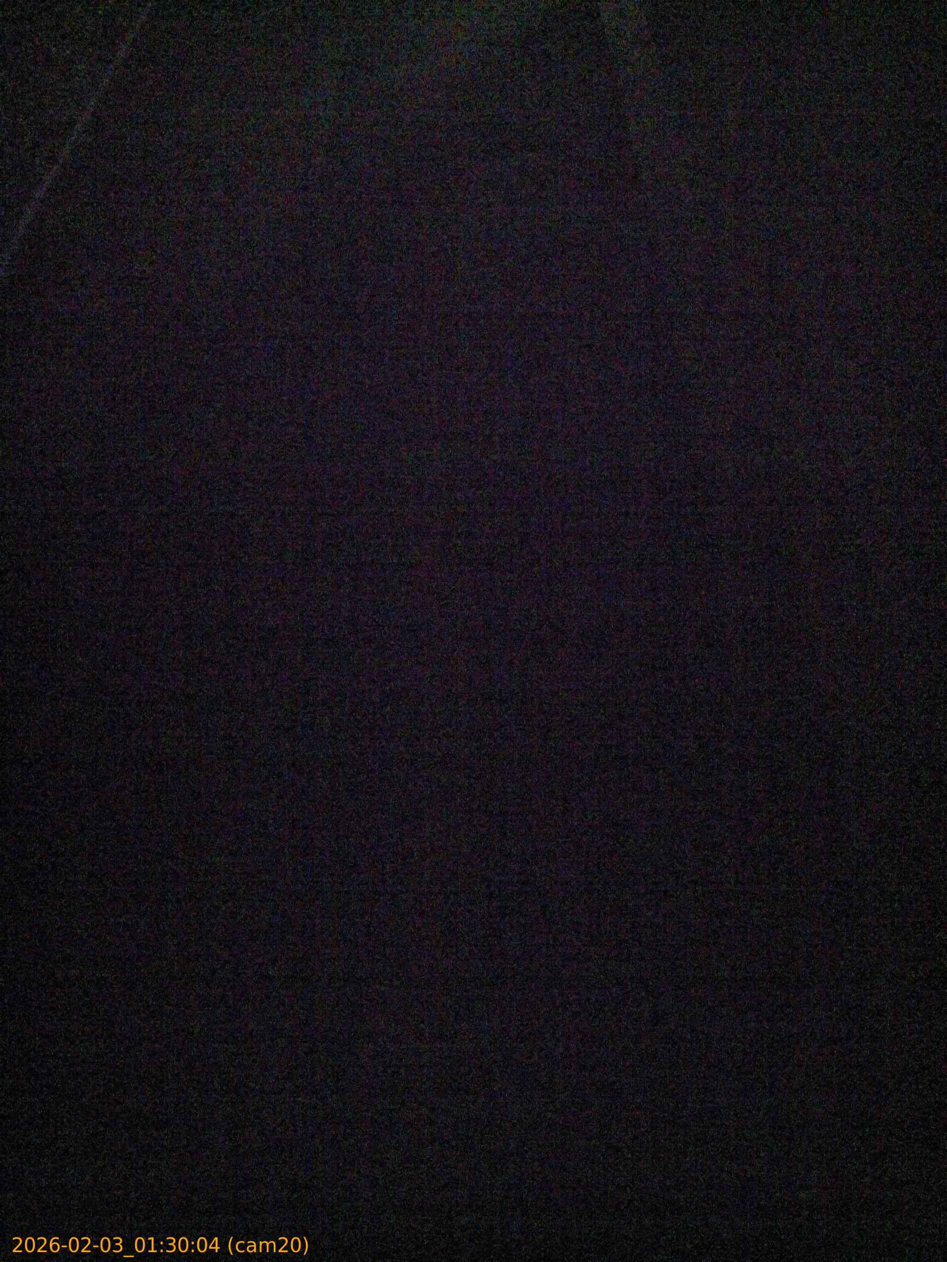 thumbnail_20260203013004