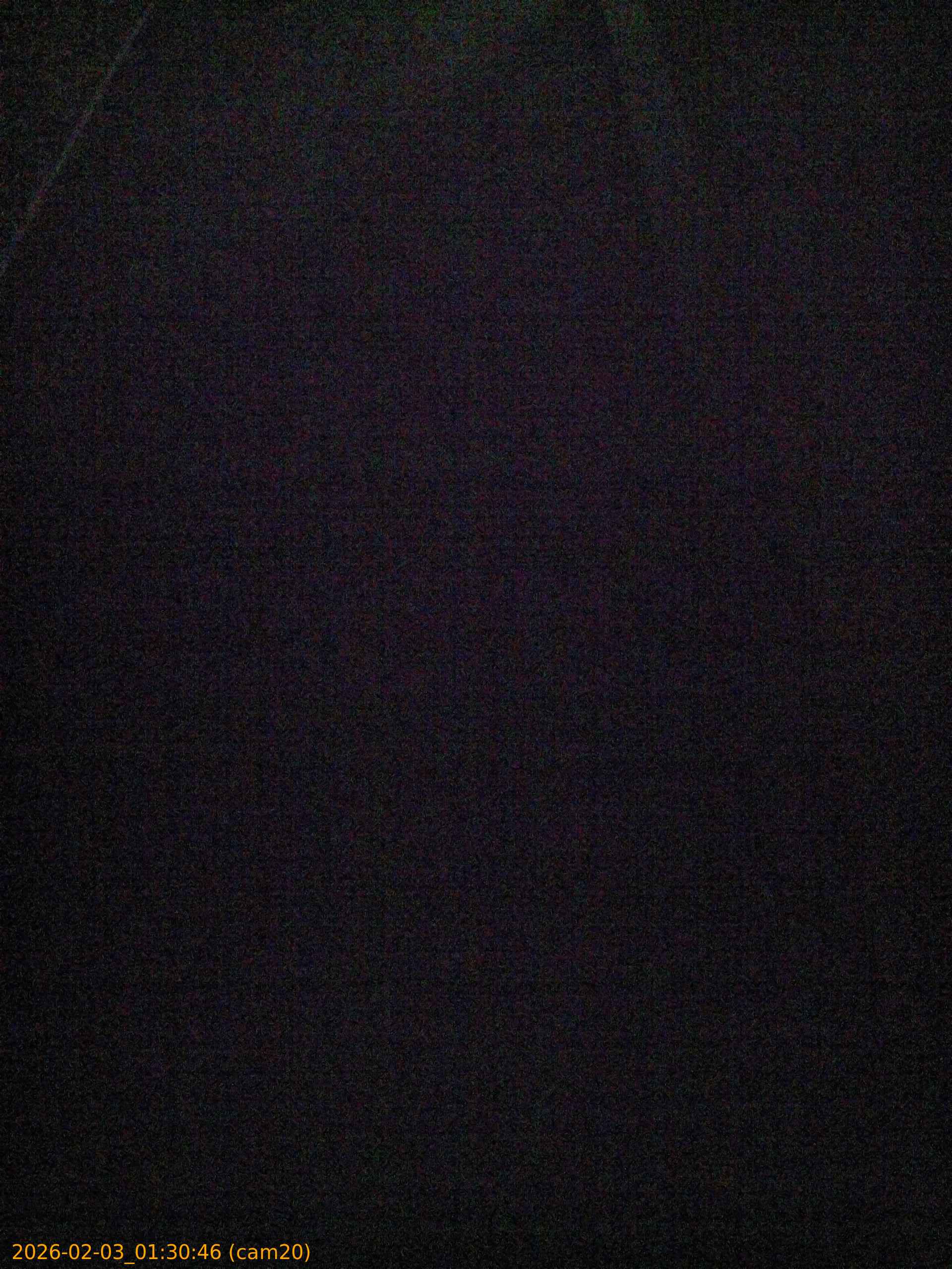 thumbnail_20260203013046