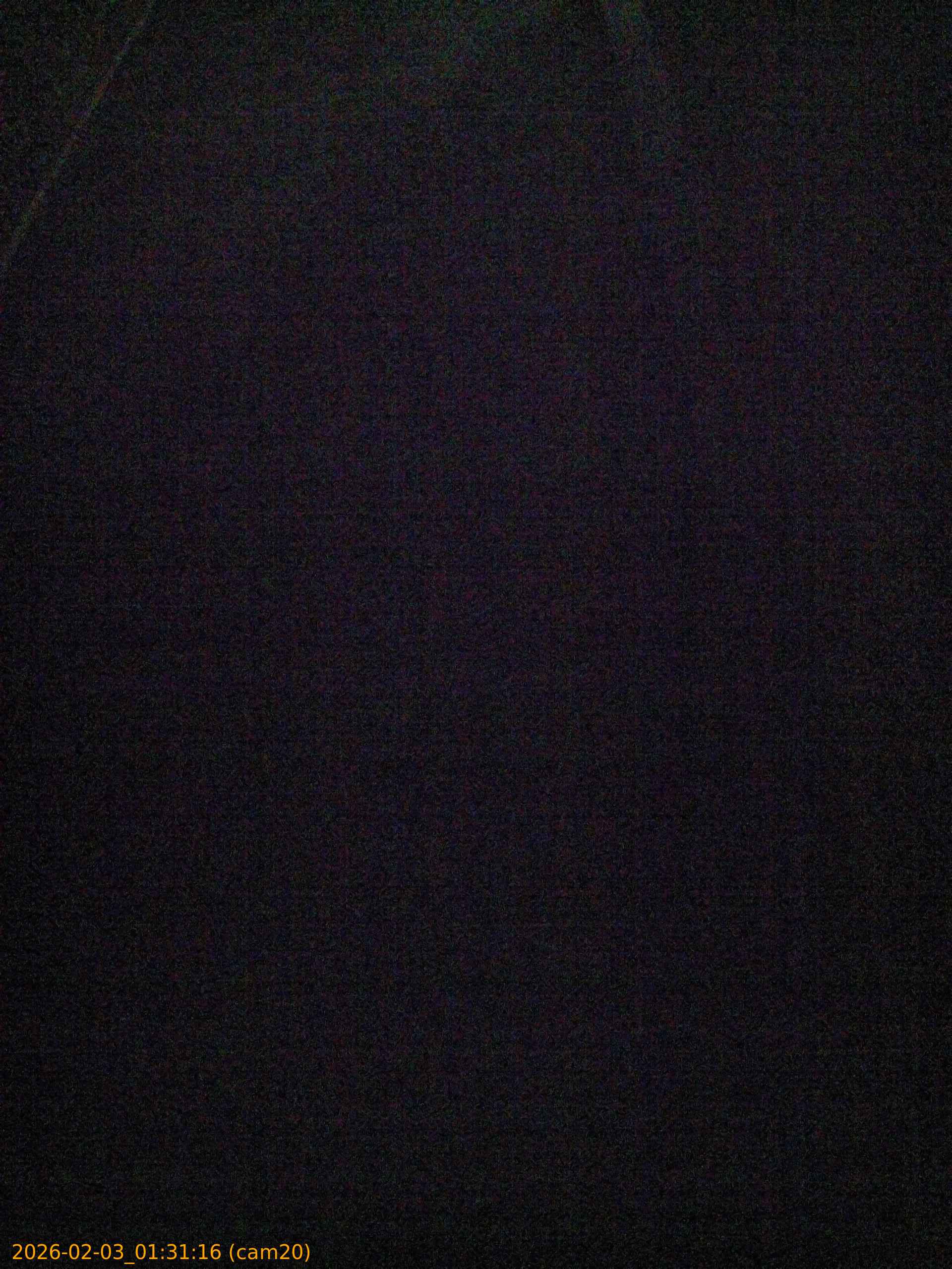 thumbnail_20260203013116