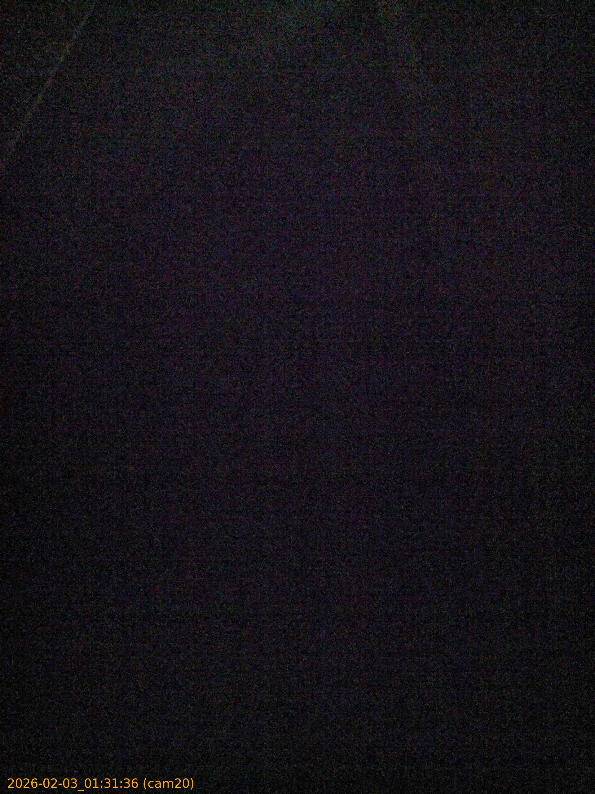 thumbnail_20260203013136