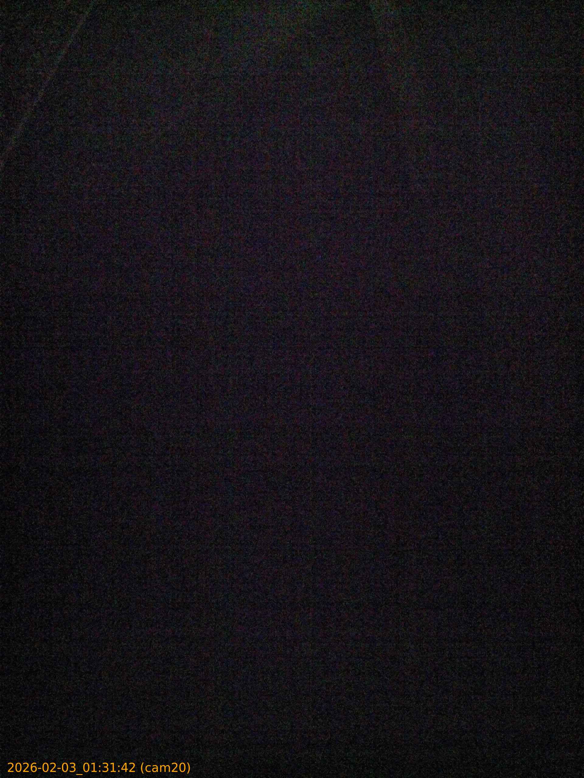 thumbnail_20260203013142