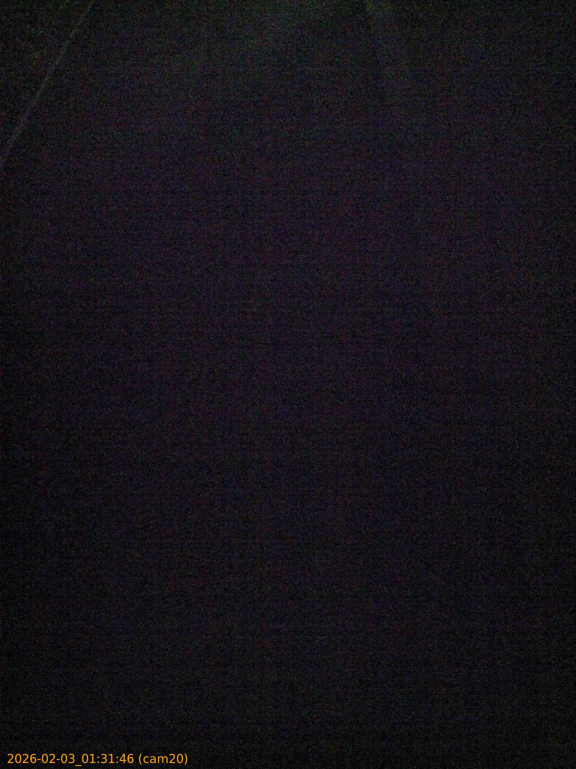 thumbnail_20260203013146