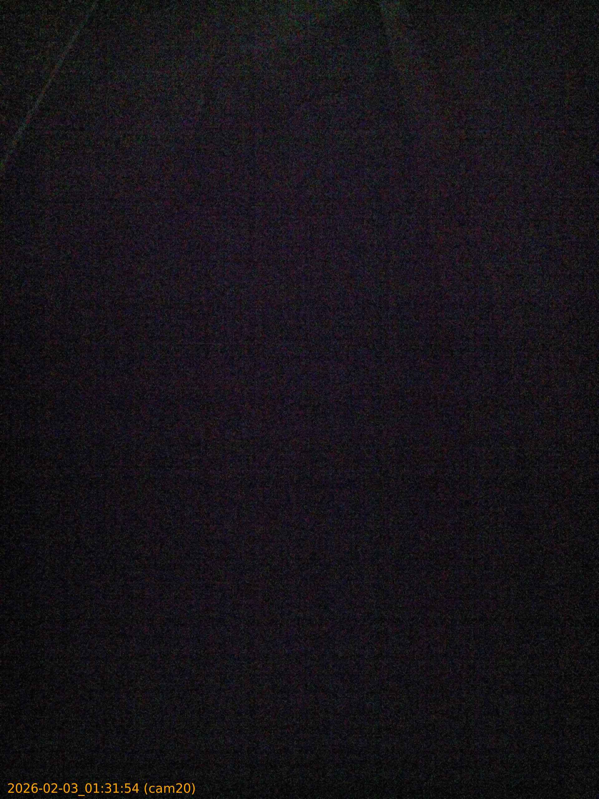 thumbnail_20260203013154