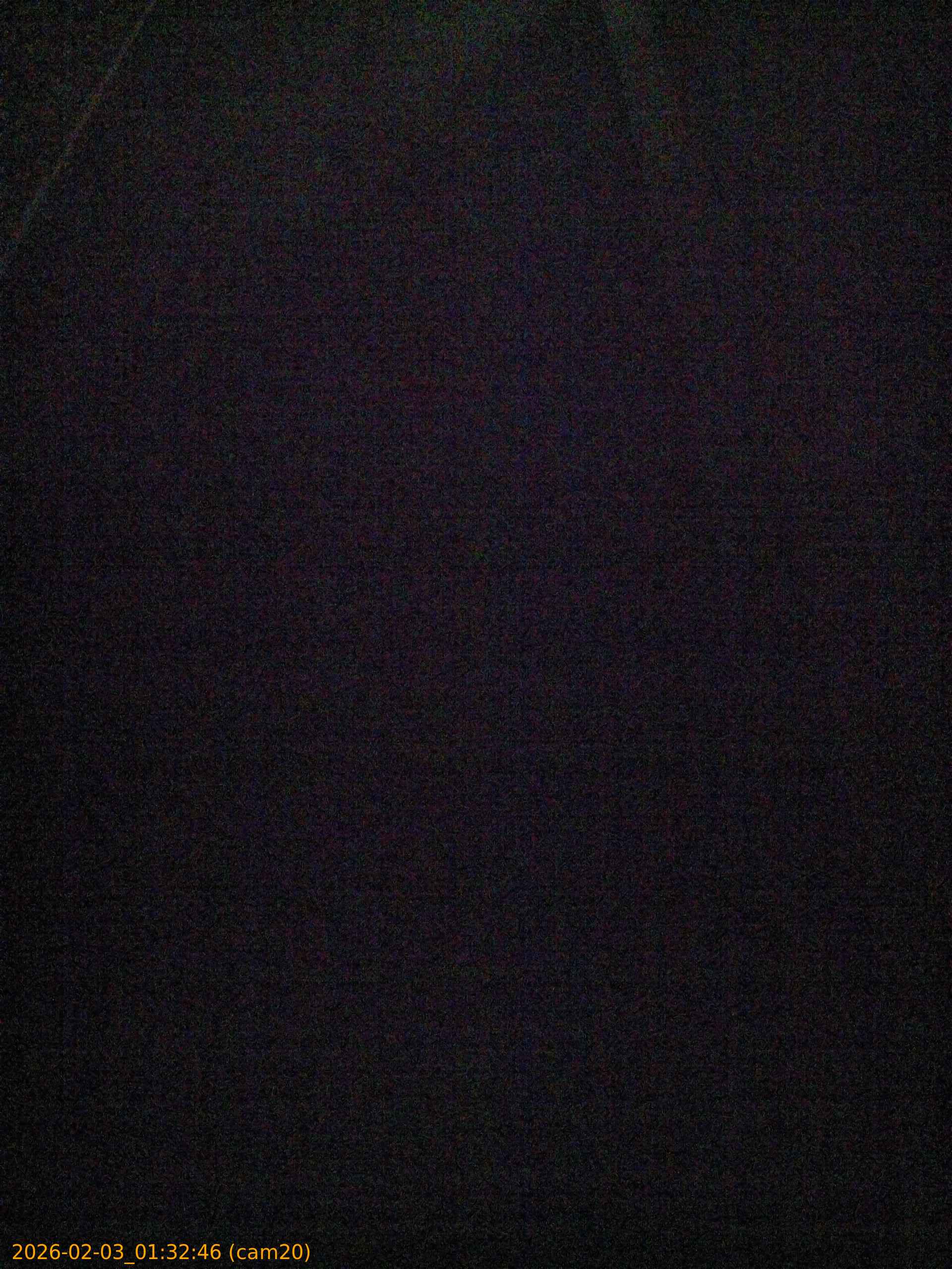 20260203013246