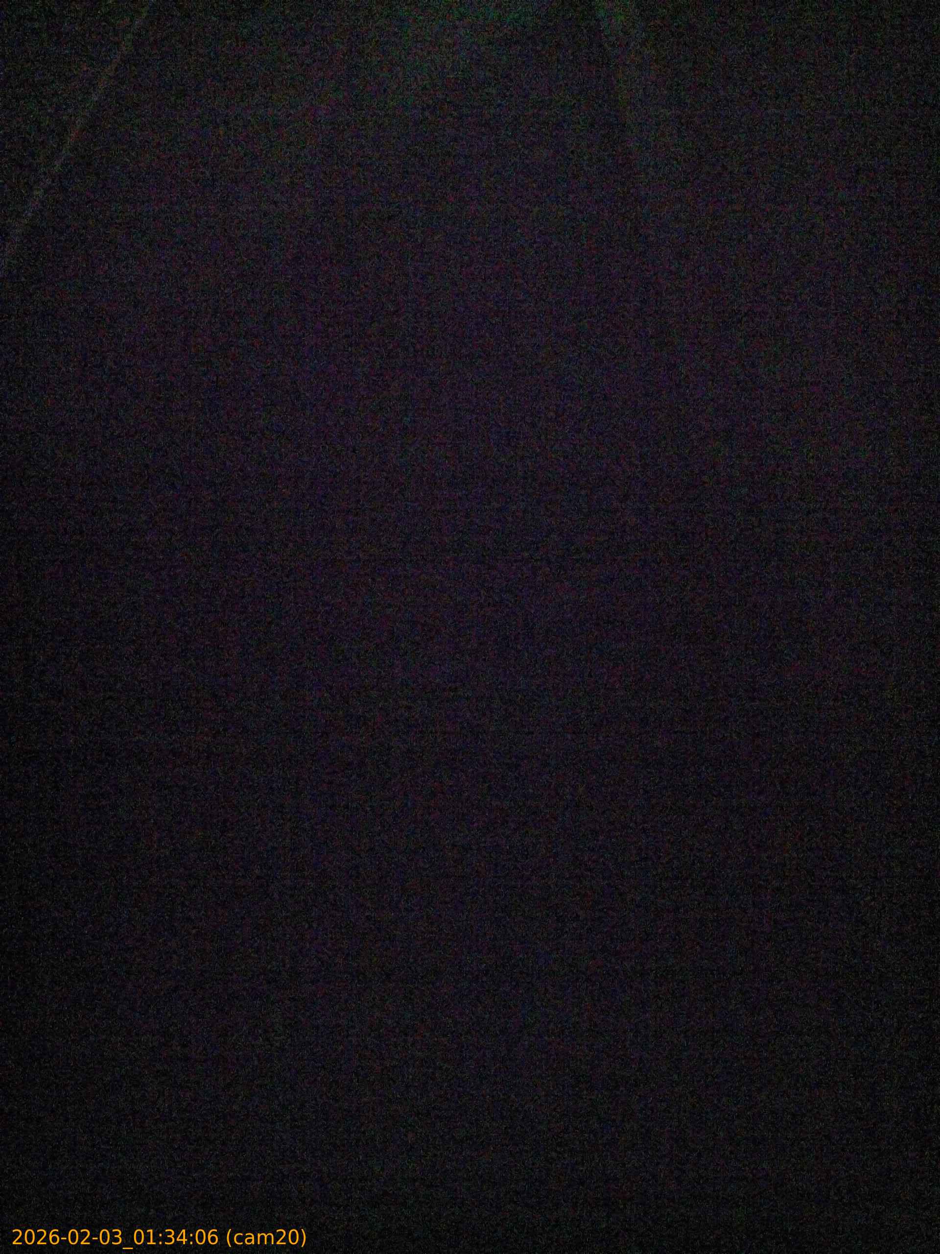 thumbnail_20260203013406