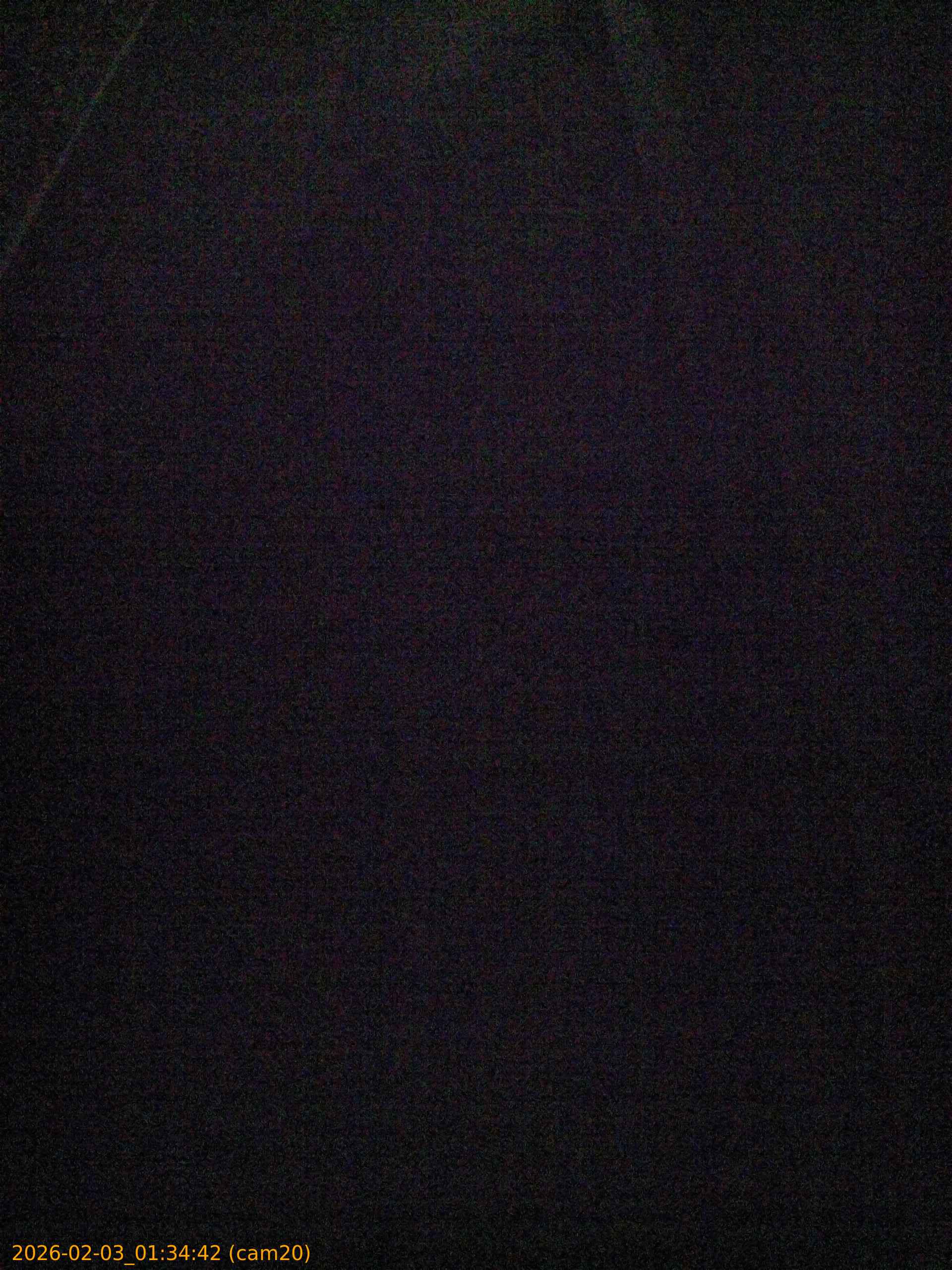 thumbnail_20260203013442