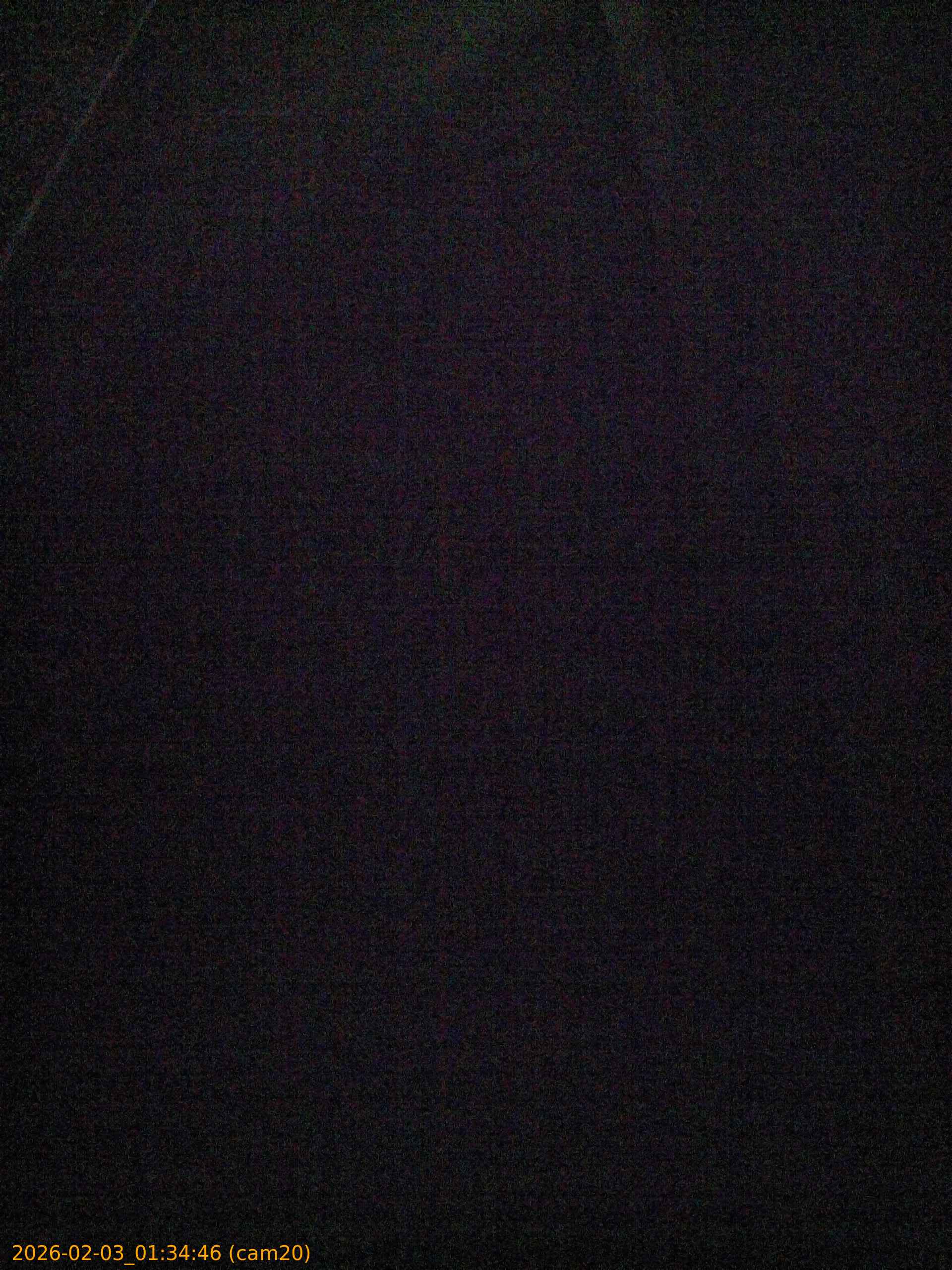 thumbnail_20260203013446