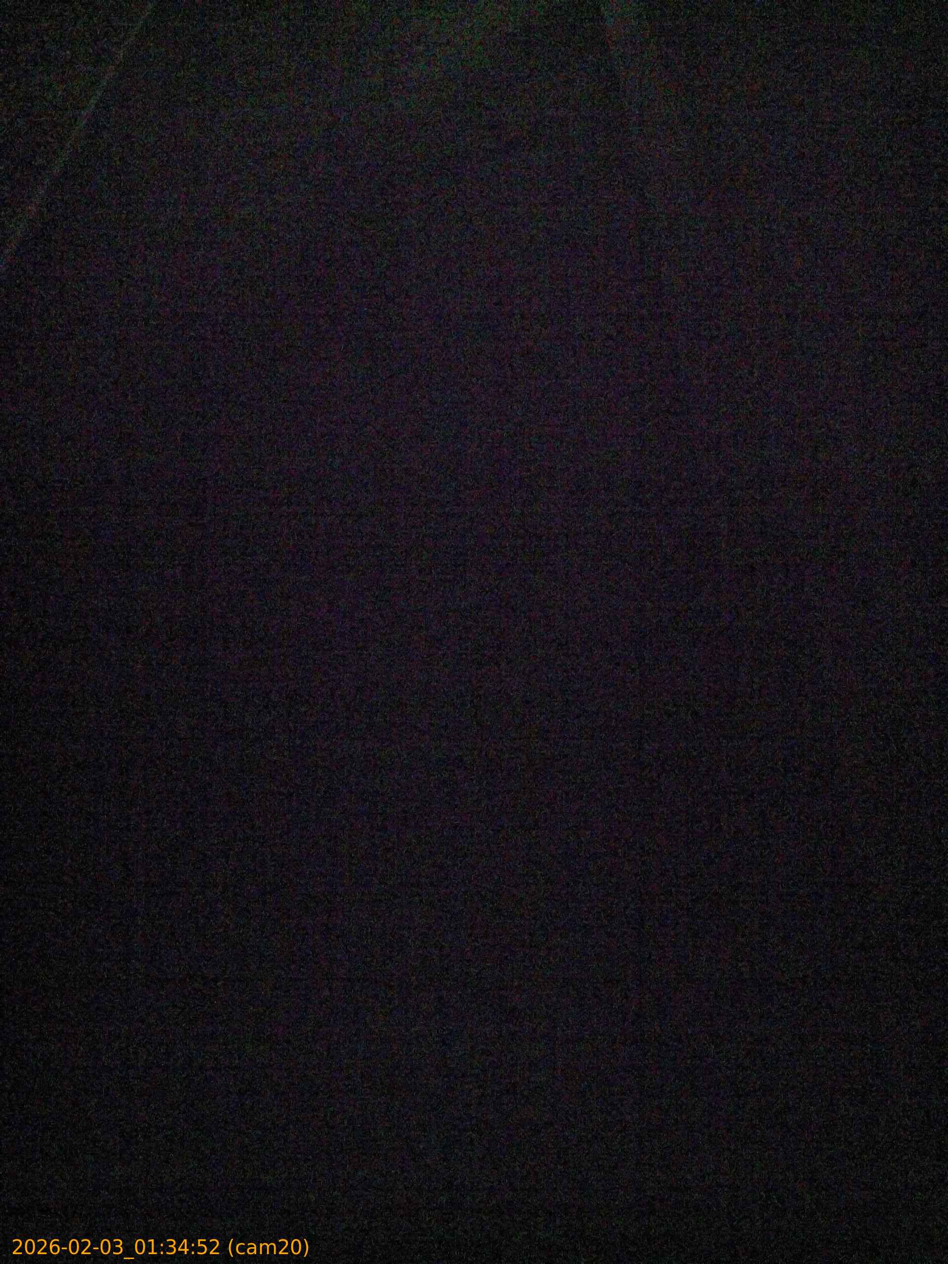 thumbnail_20260203013452