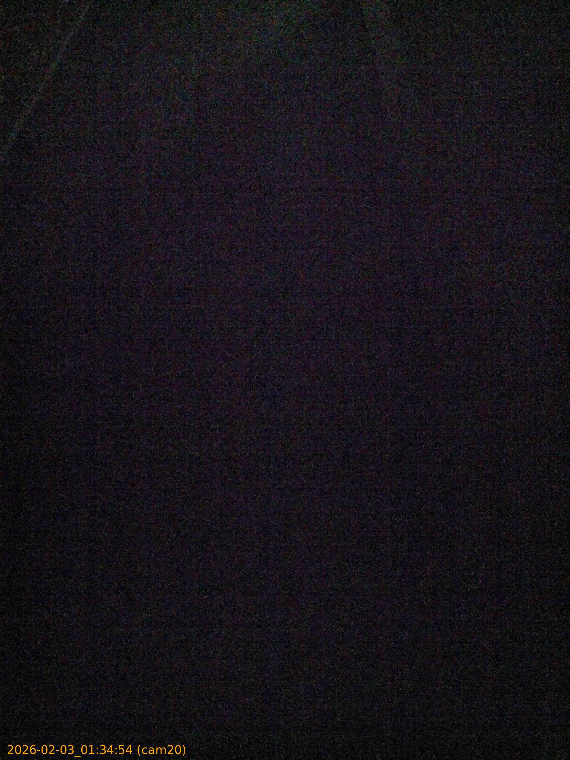 thumbnail_20260203013454