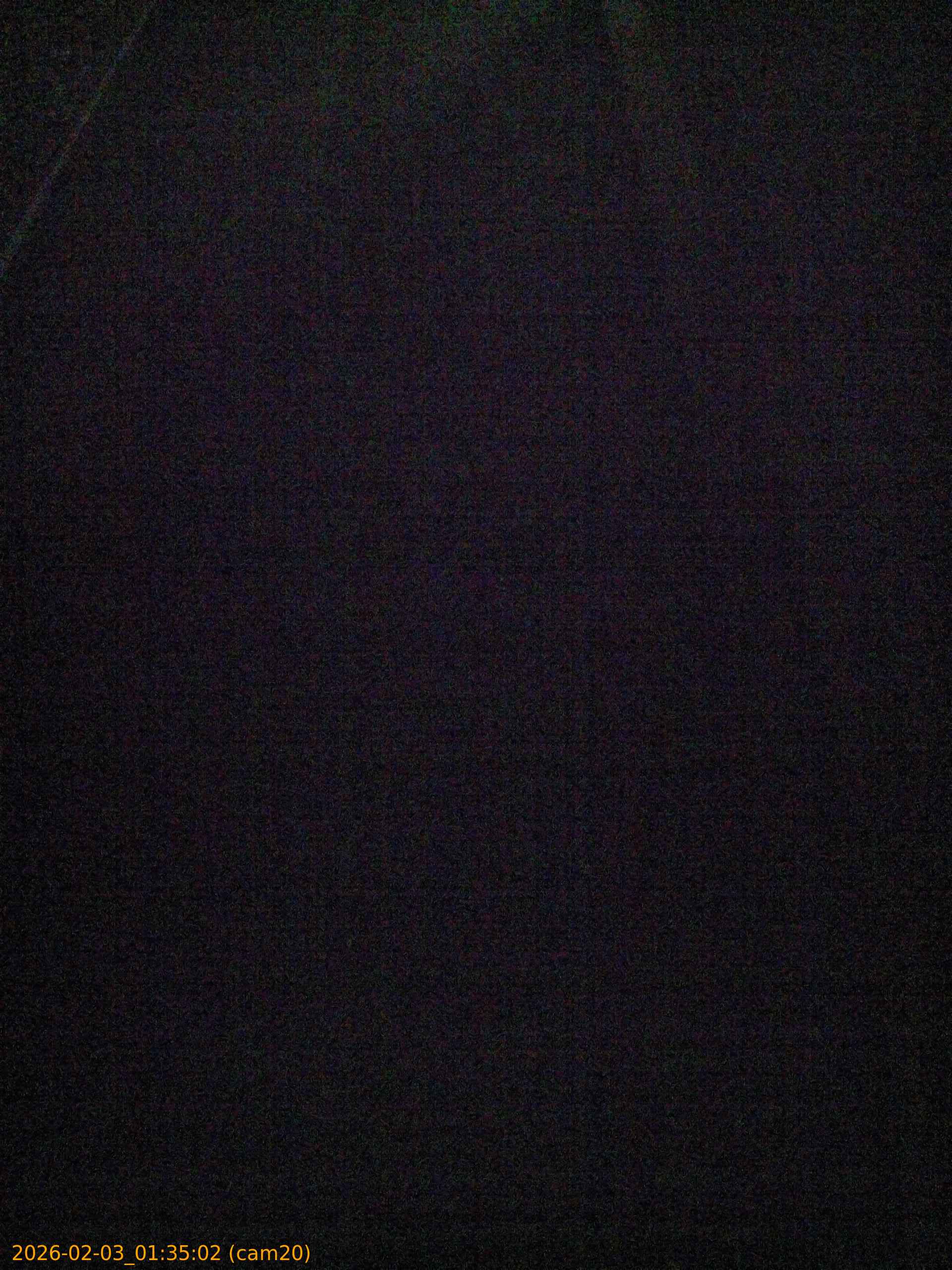 thumbnail_20260203013502