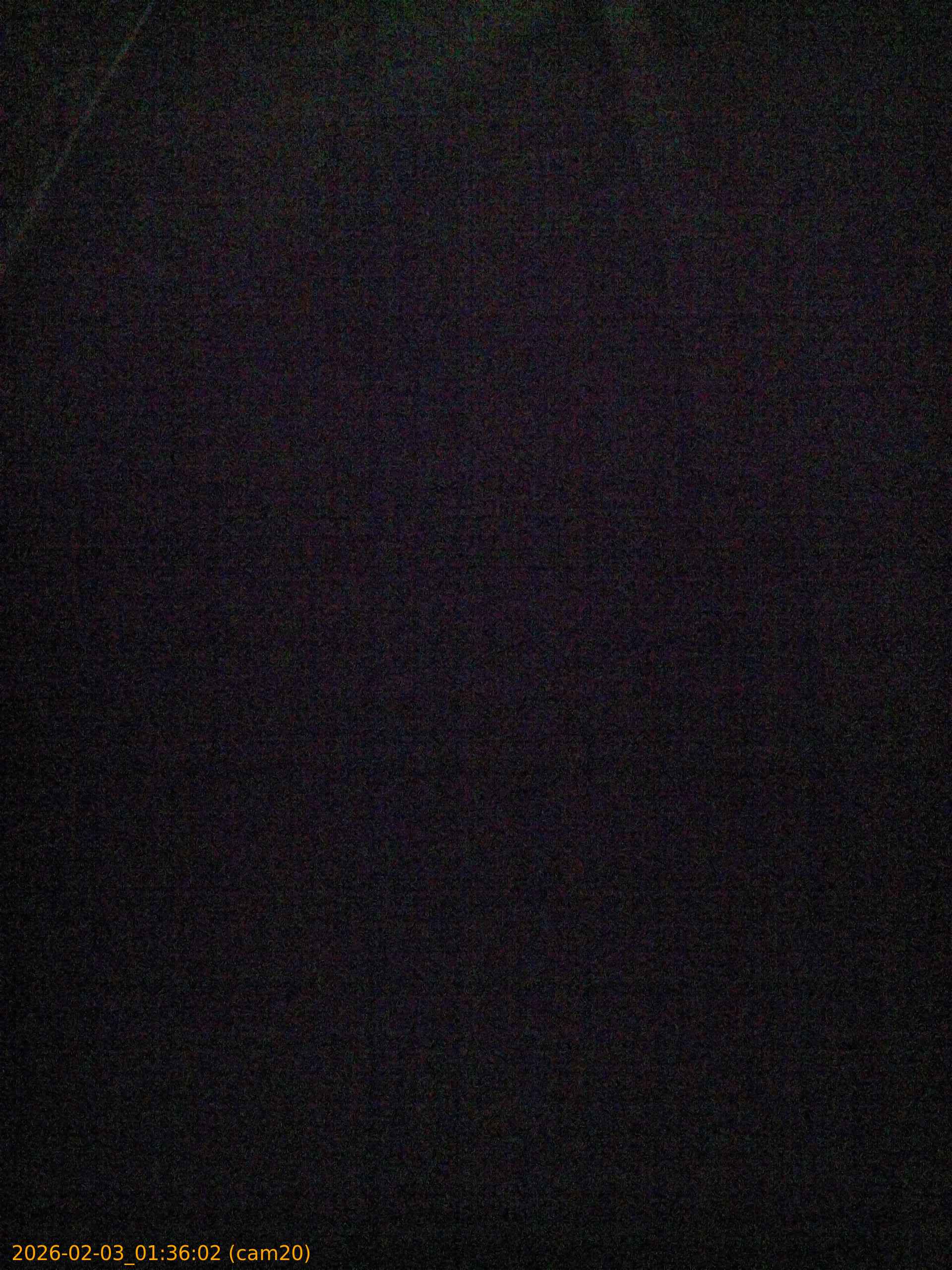 thumbnail_20260203013602