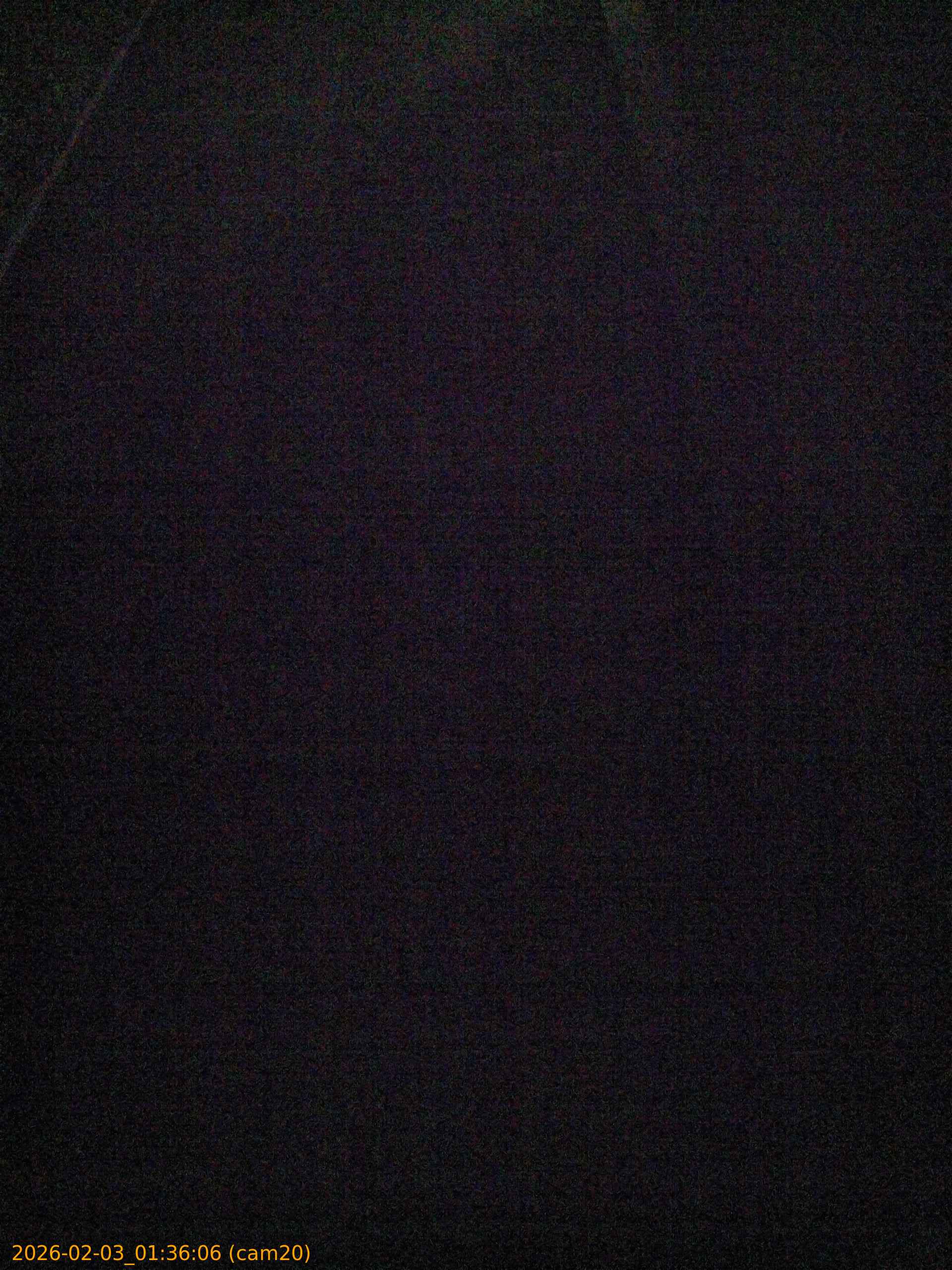 thumbnail_20260203013606