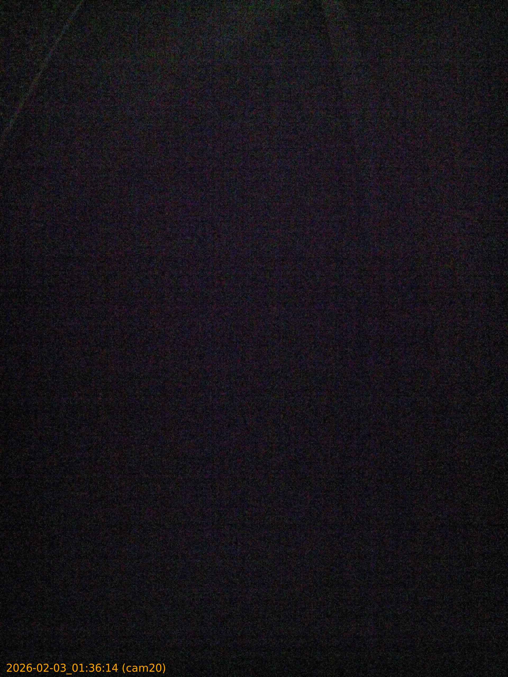 thumbnail_20260203013614