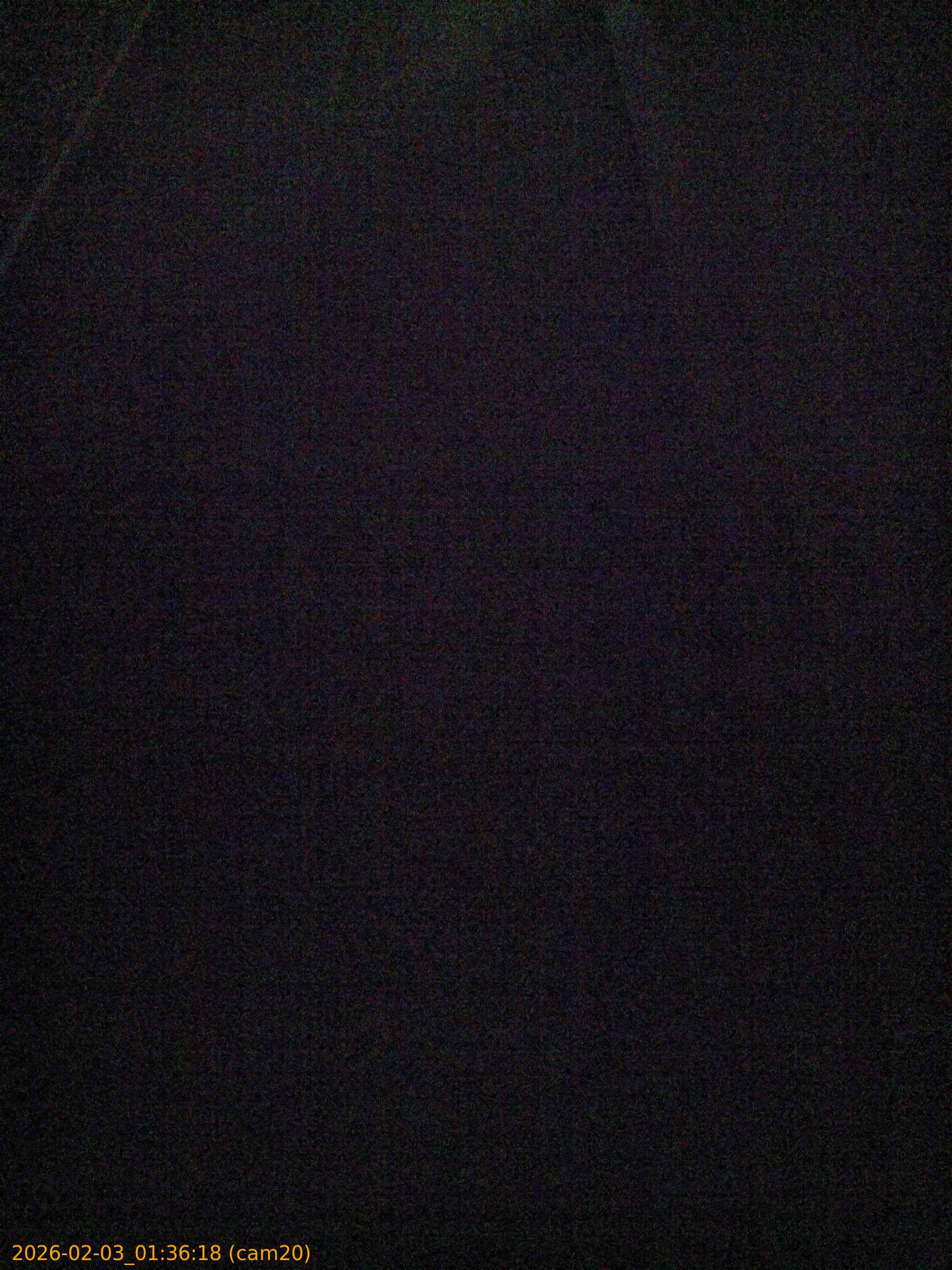 thumbnail_20260203013618