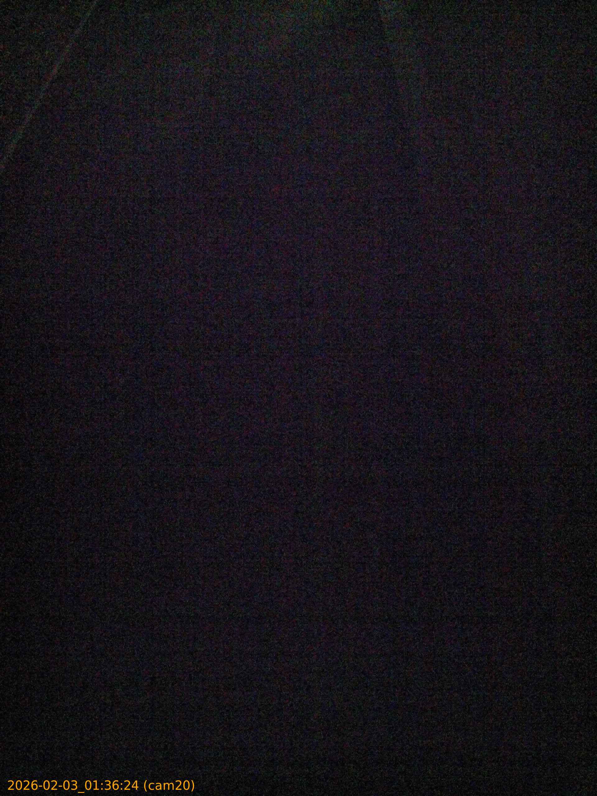 thumbnail_20260203013624