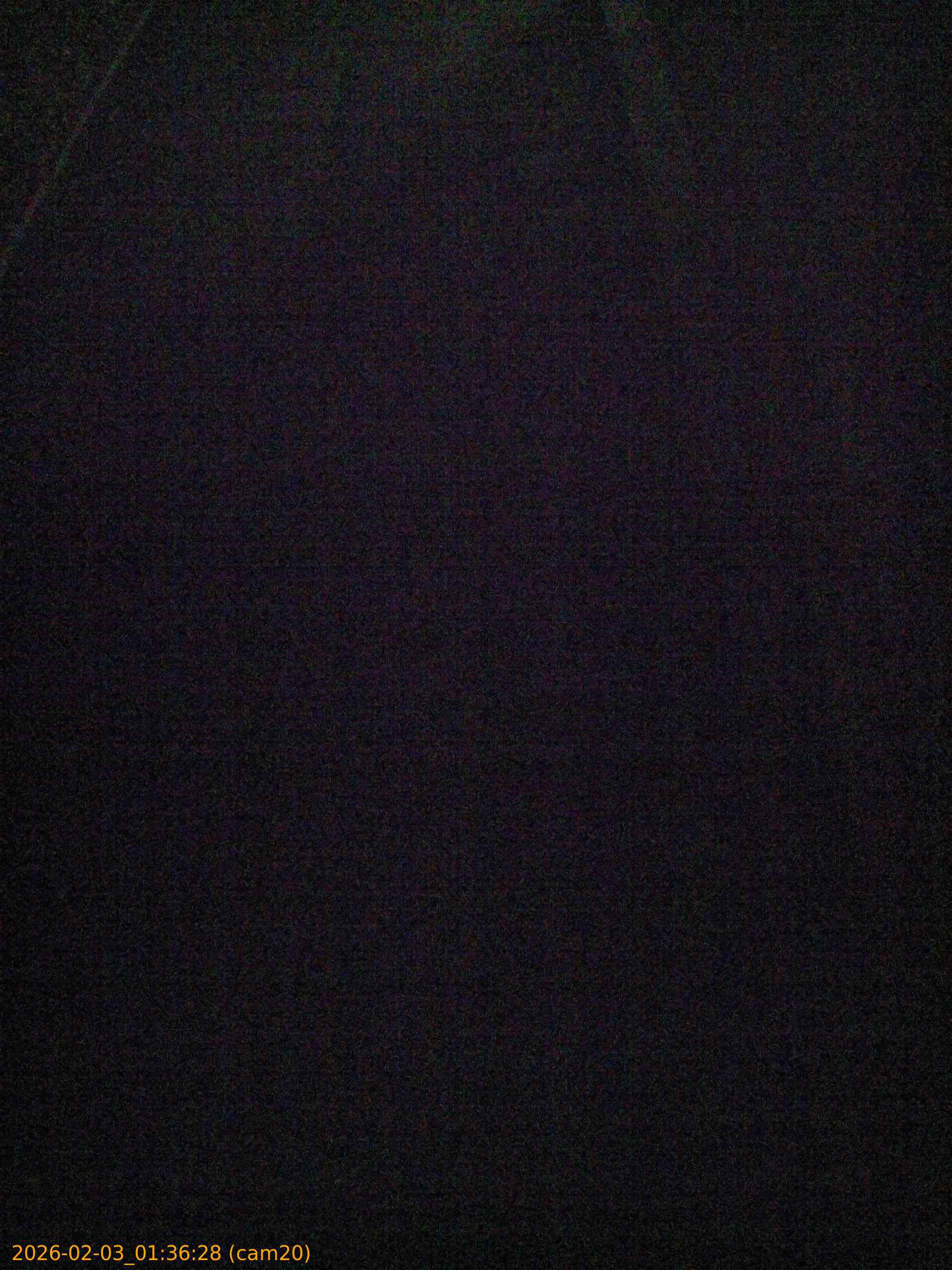 thumbnail_20260203013628