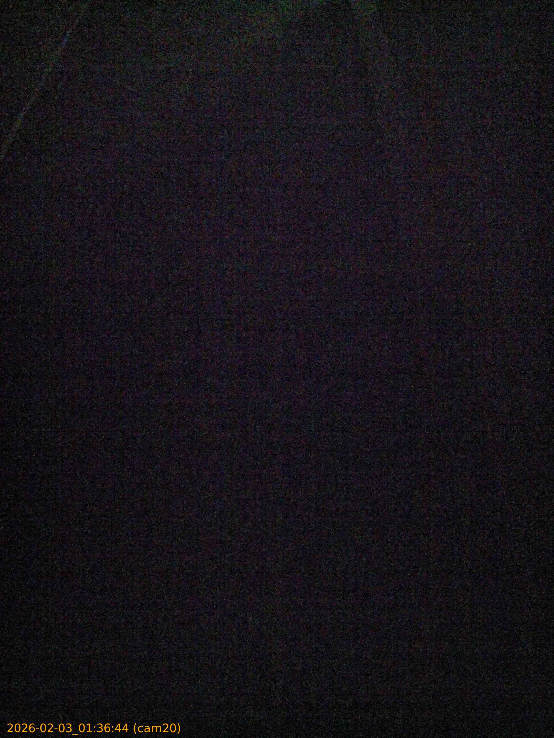 thumbnail_20260203013644